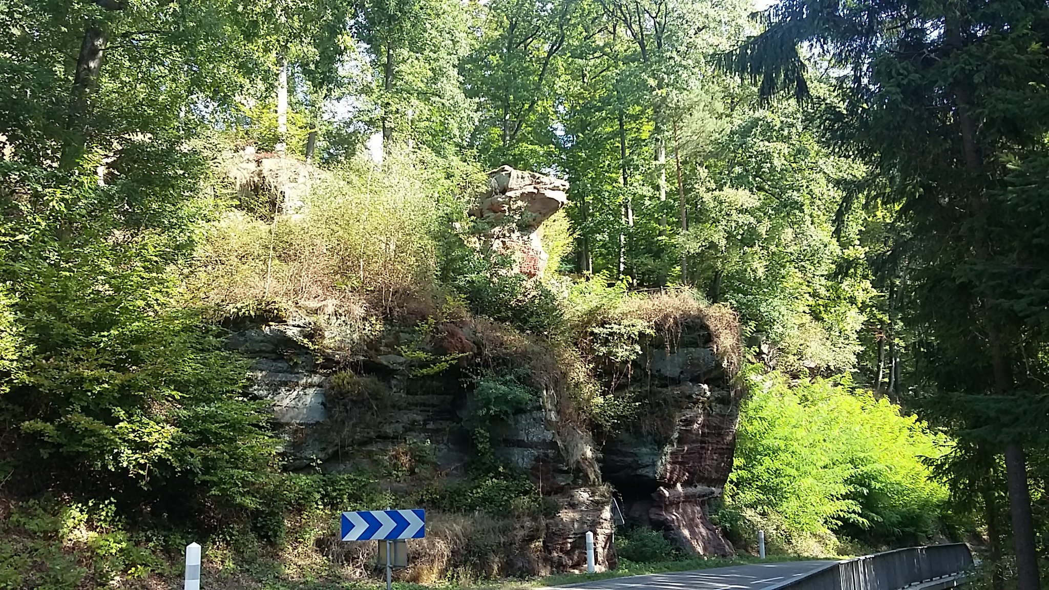 20220912_111722.jpg