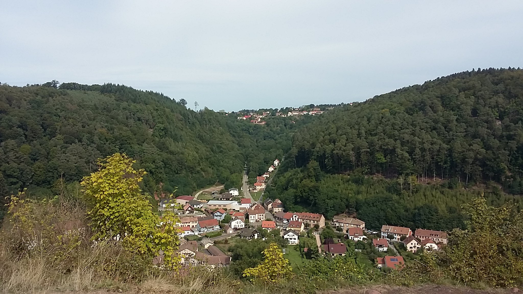 20220913_115930.jpg
