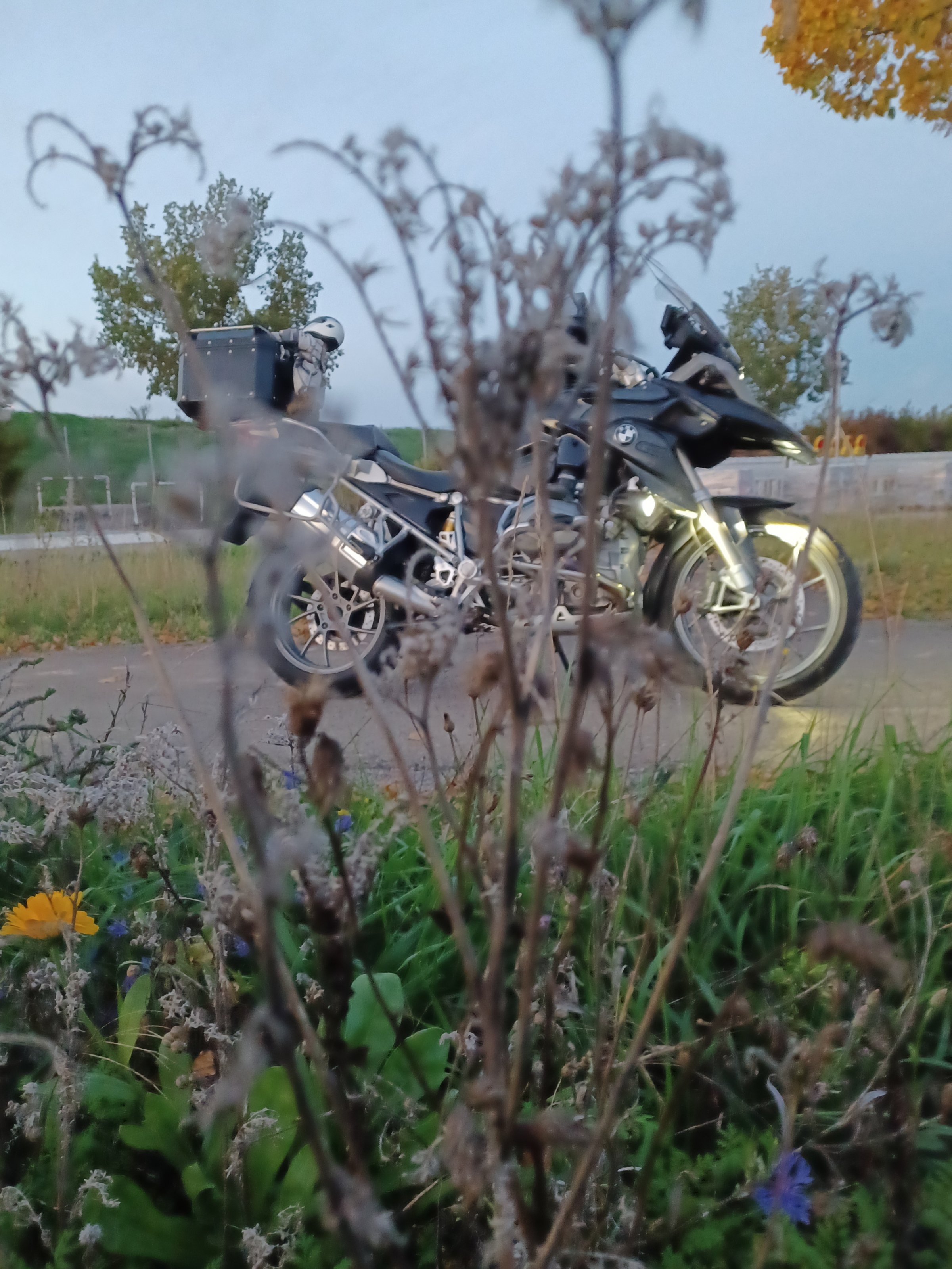 20221007_190838.jpg