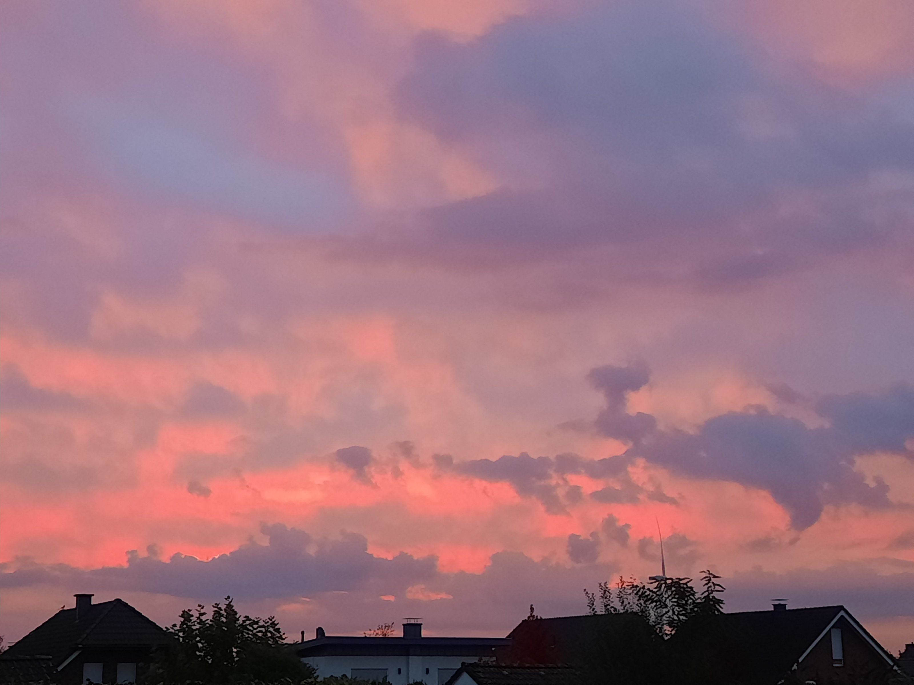 20221013_074201.jpg