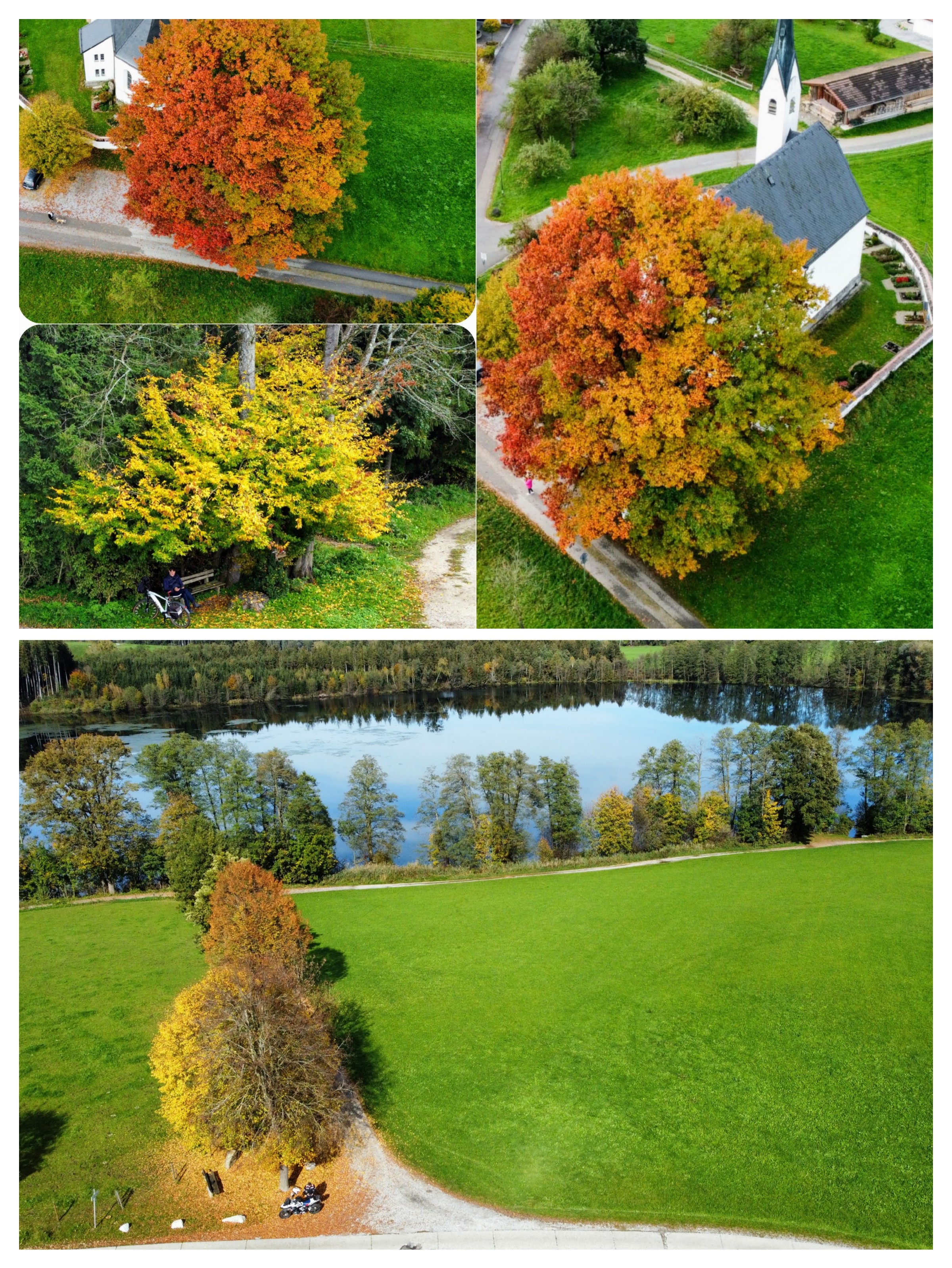 20221018_223235-COLLAGE.jpg