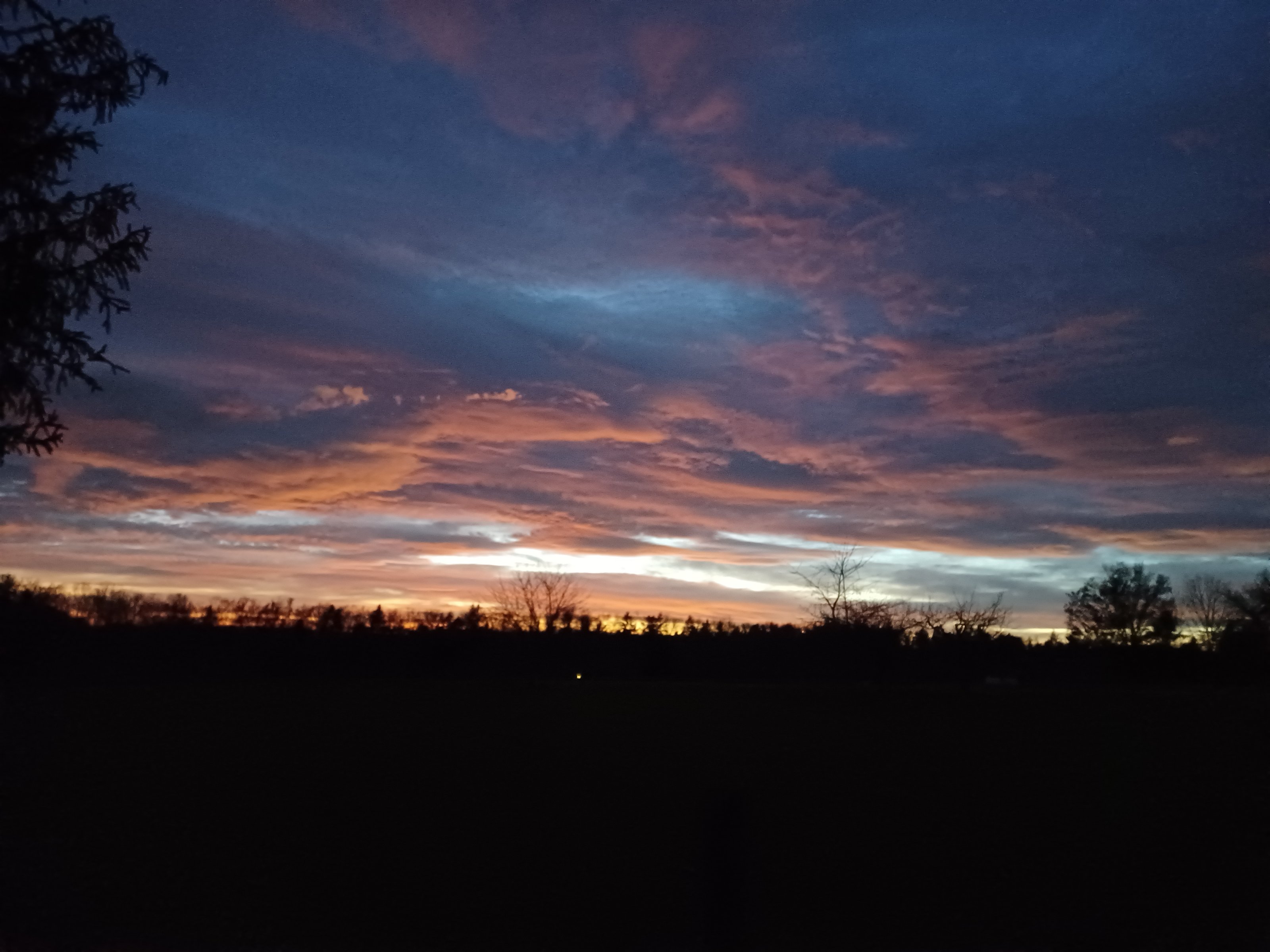20221228_171746.jpg