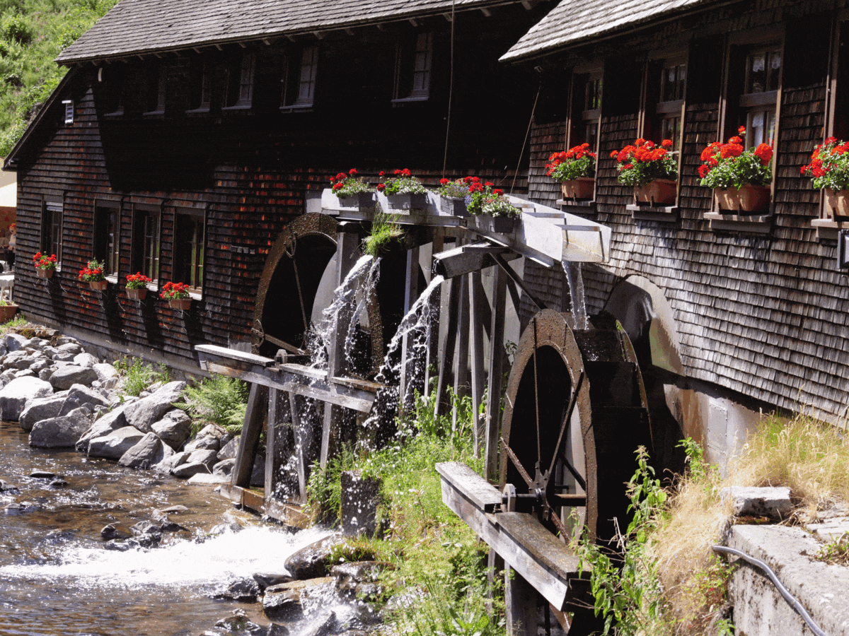 2023-06-24_Mühle.gif
