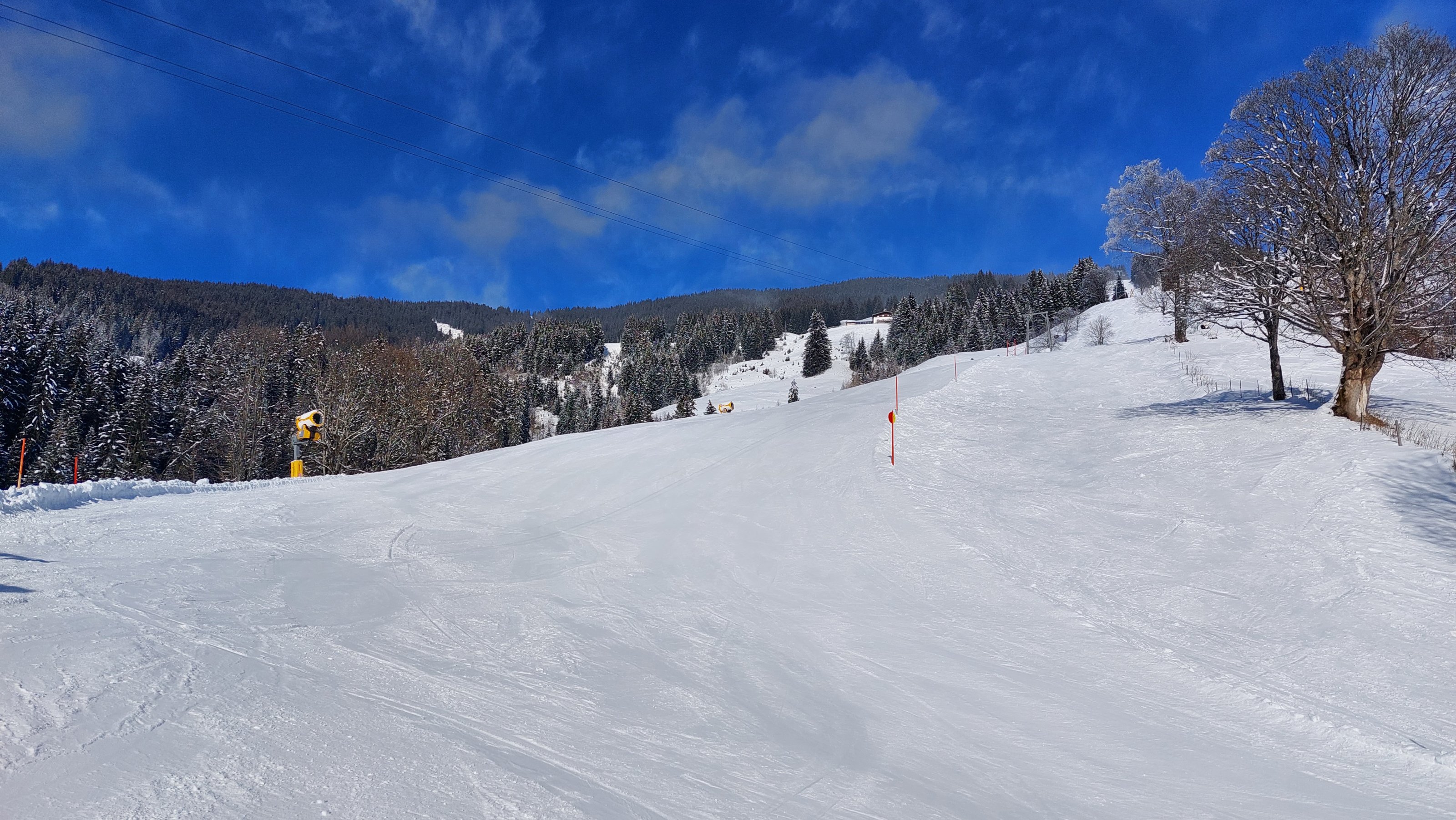 20230126_135921.jpg