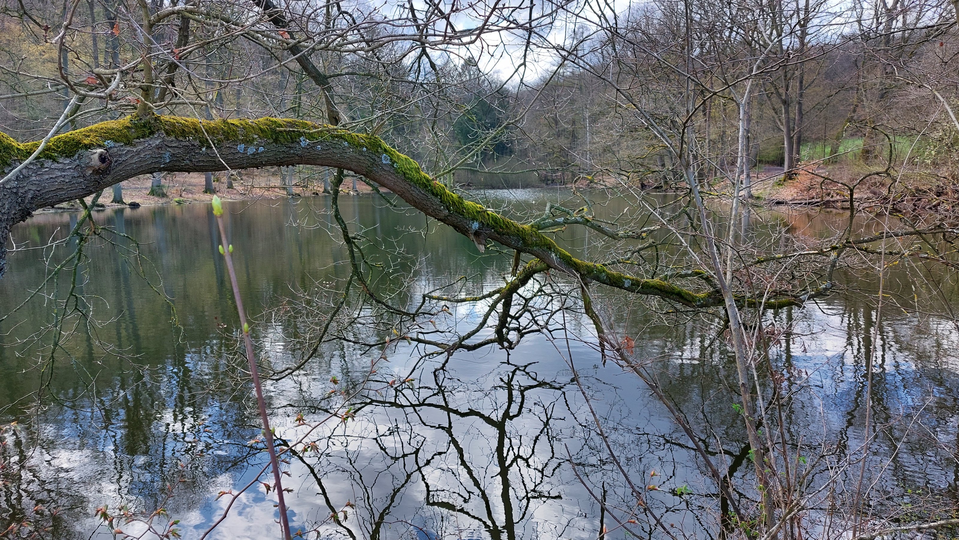 20230414_123554.jpg