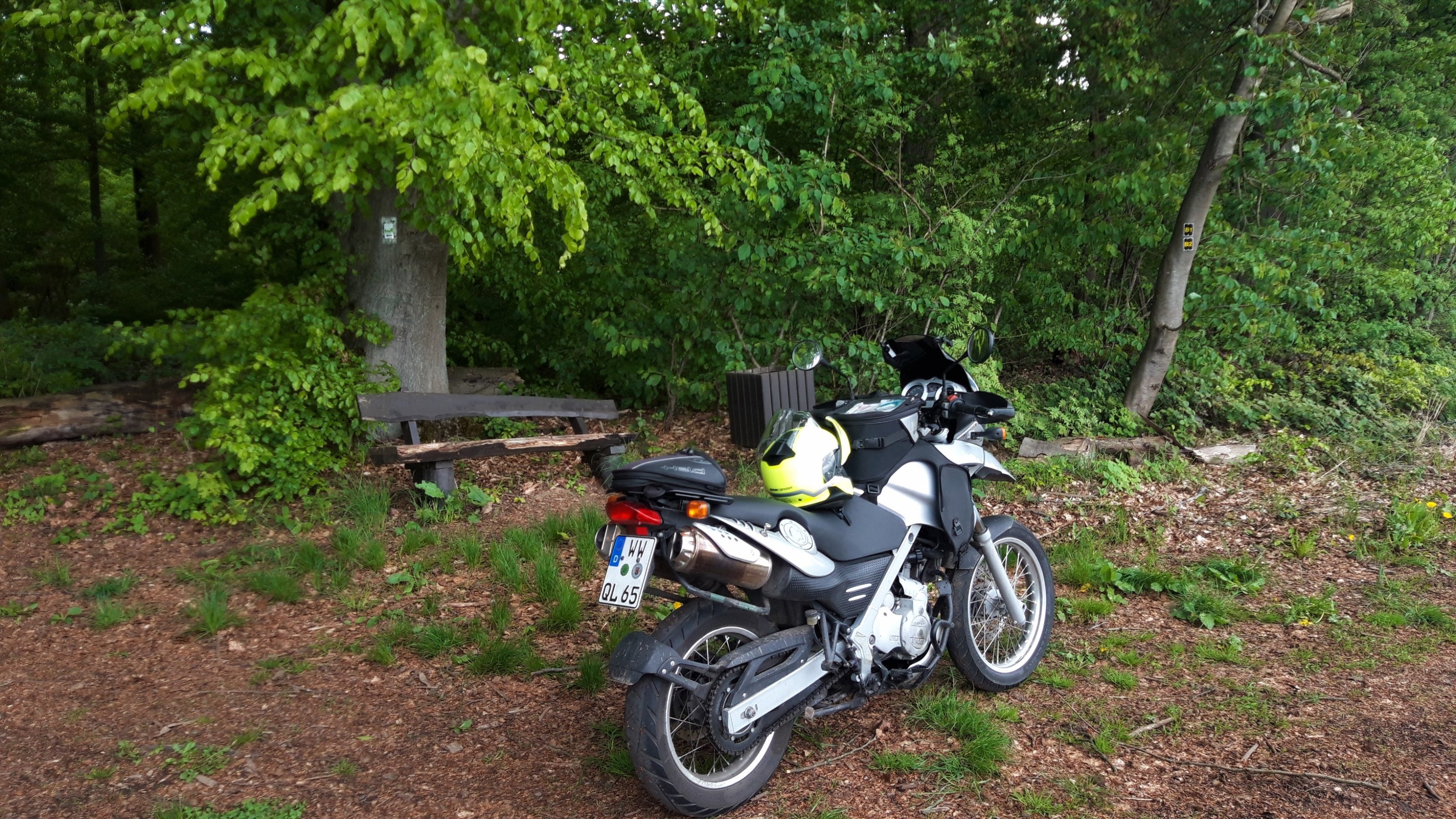 20230514_164205 (2).jpg