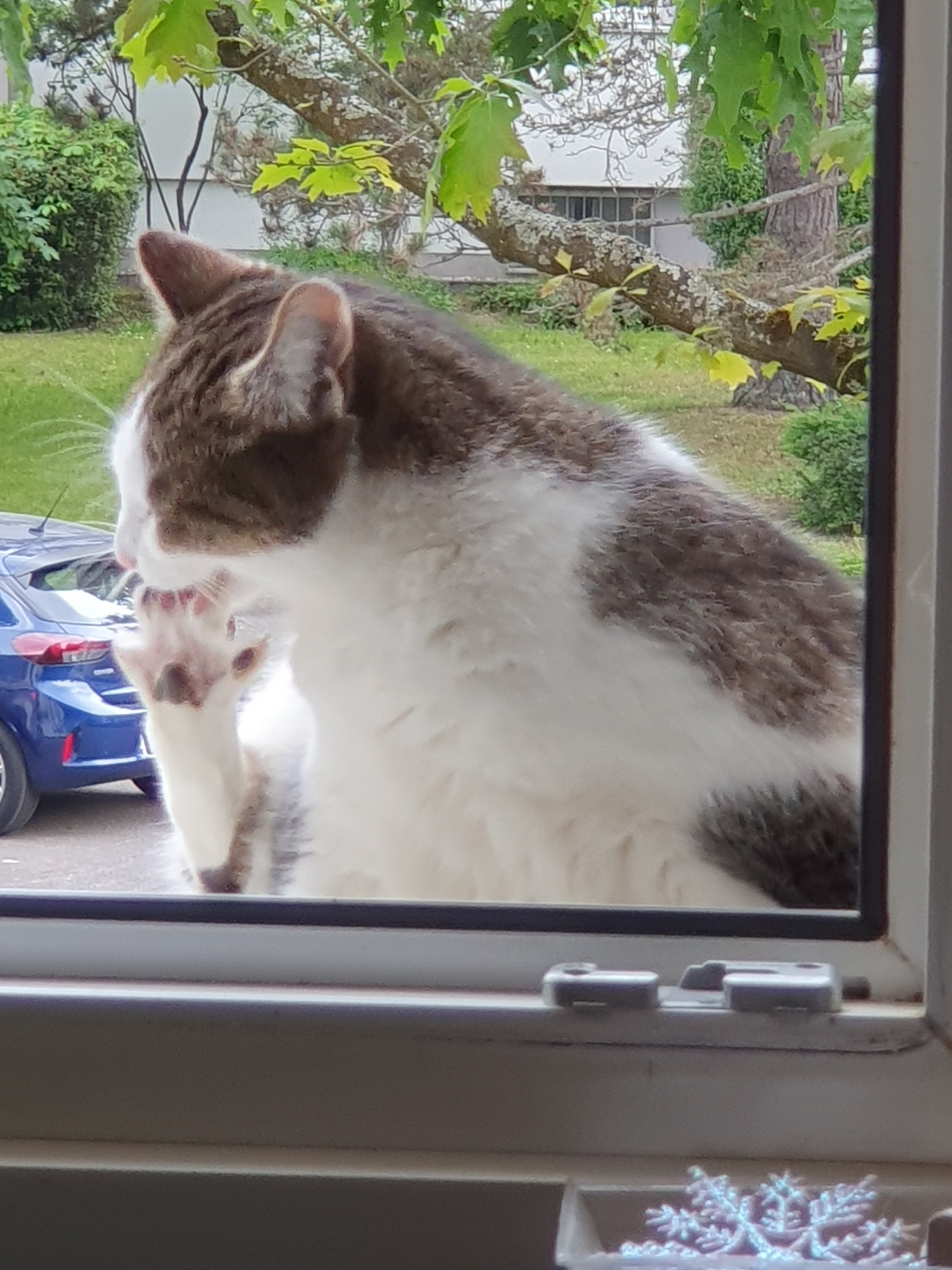 20230522_183303.jpeg