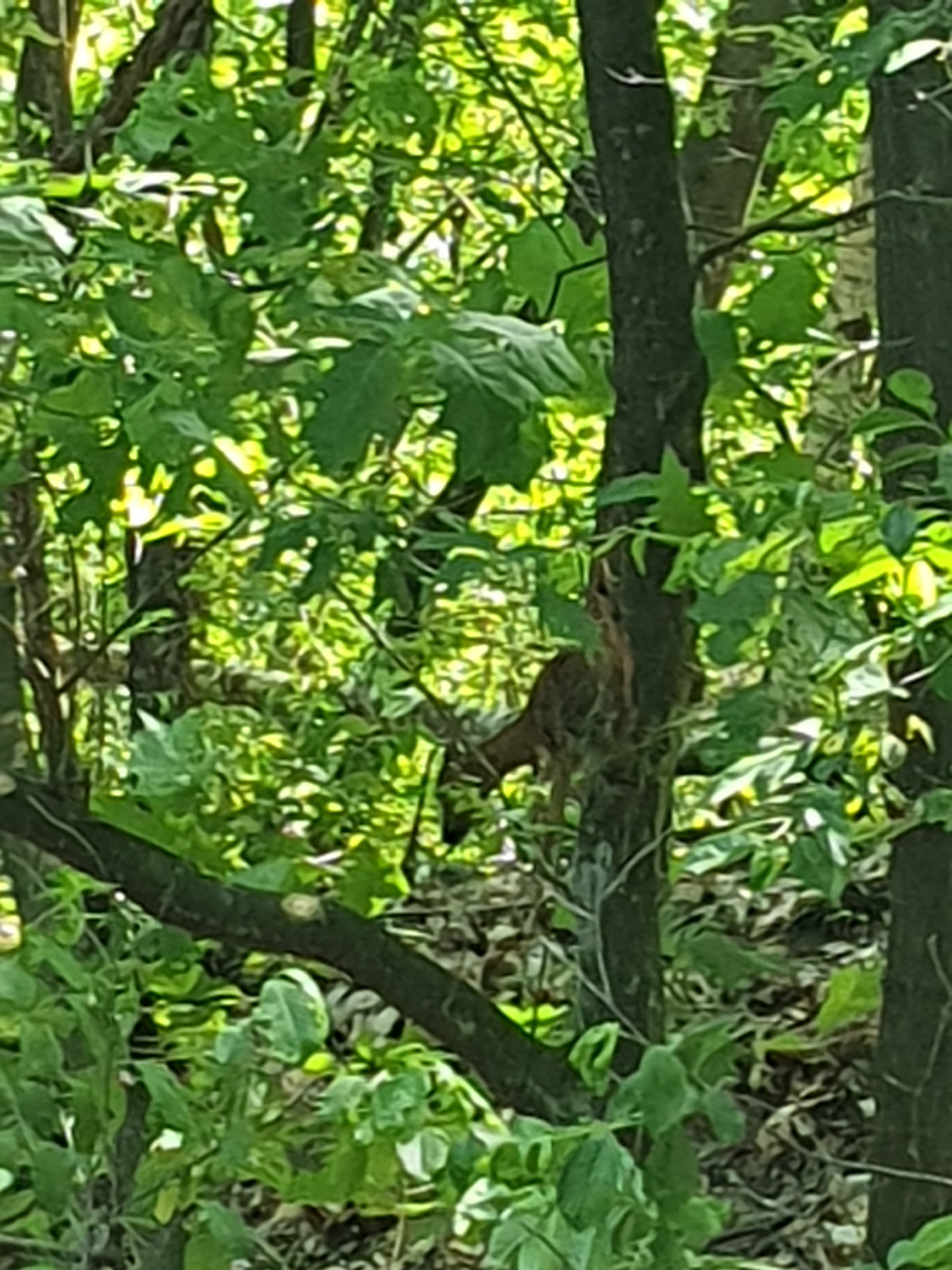 20230604_134512.jpg