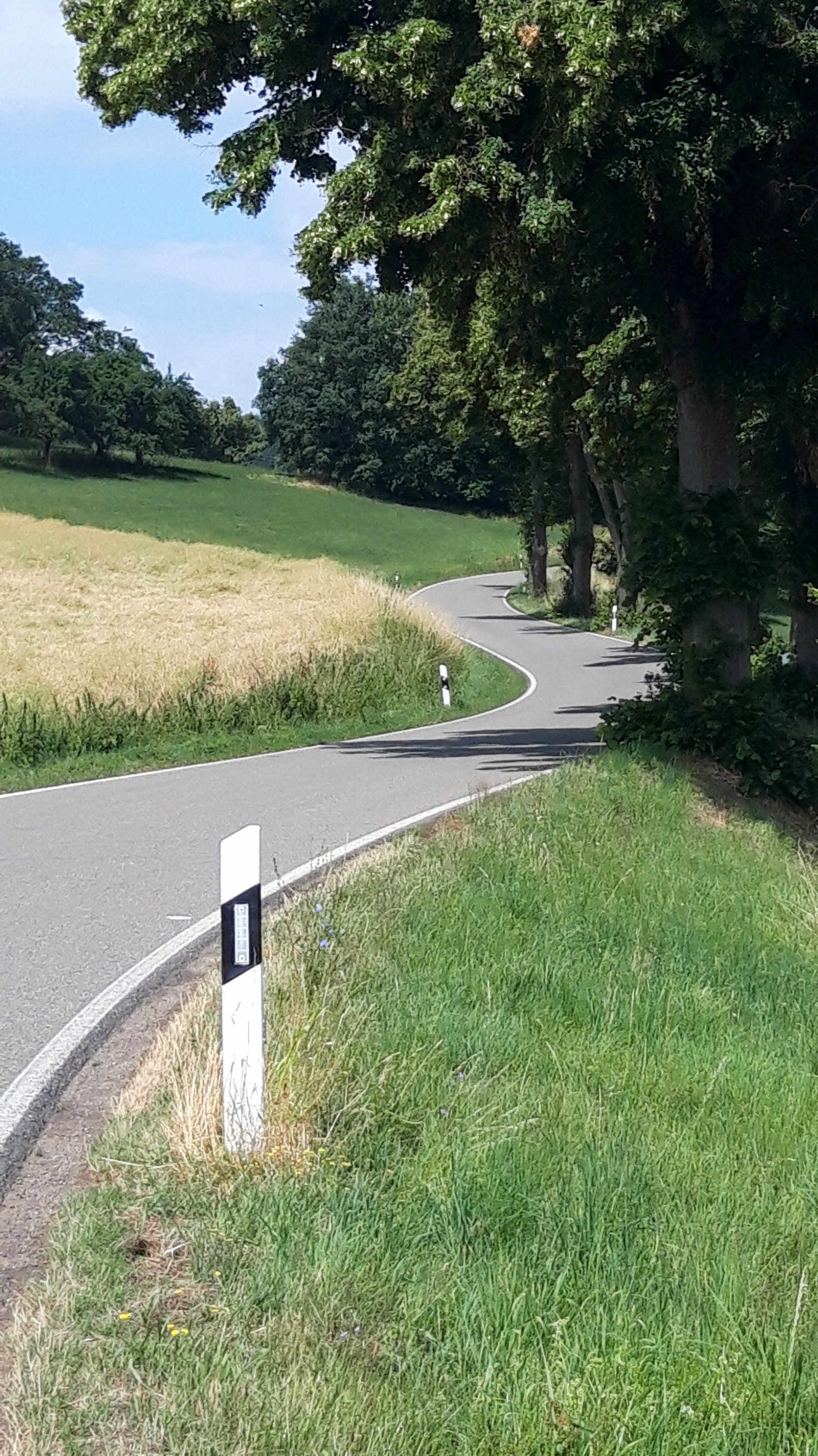 20230702_132114.jpg