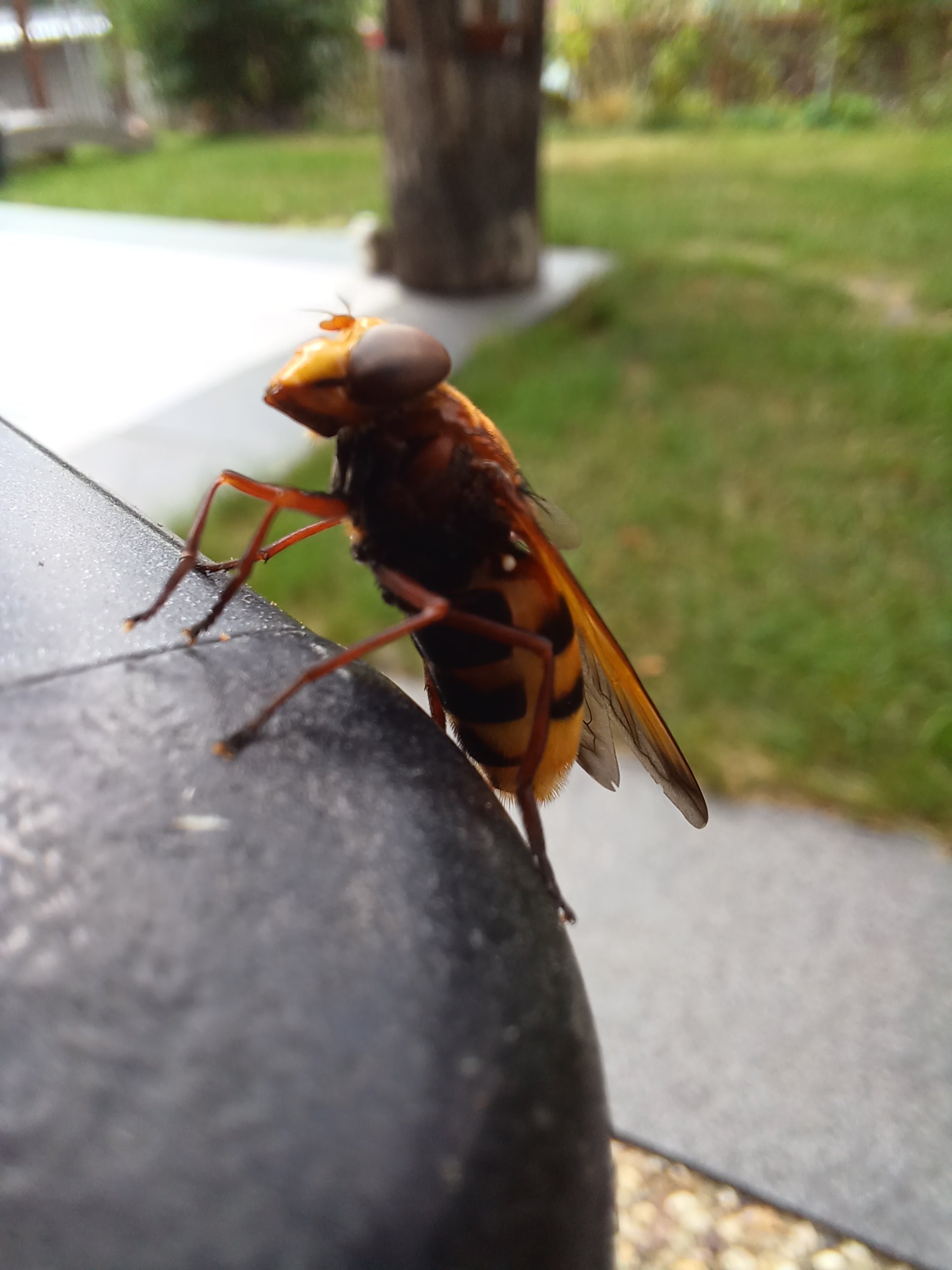 20230722_105515.jpg