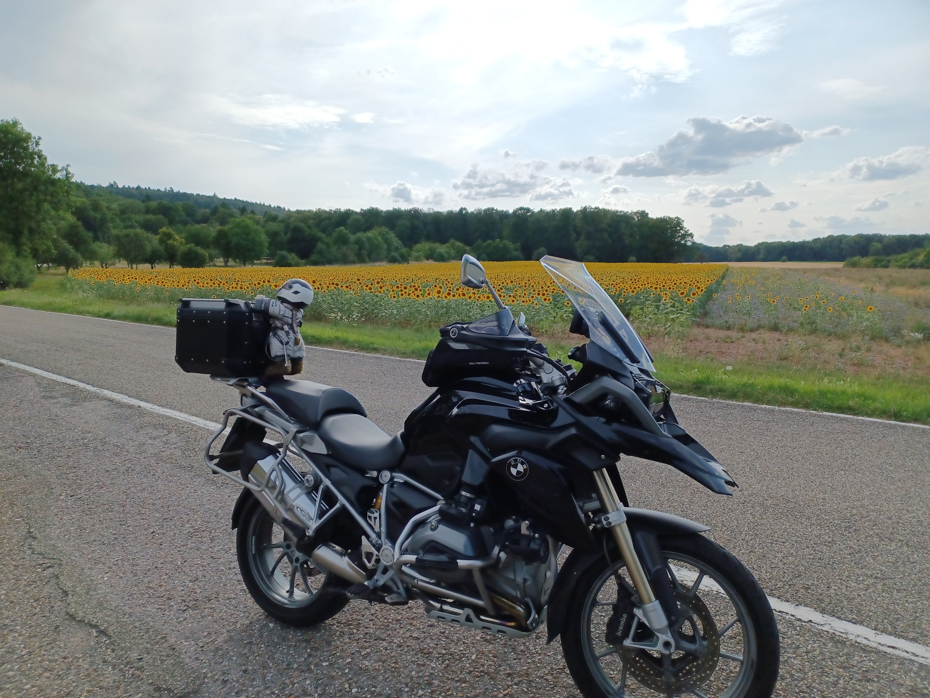 20230722_173941.jpg