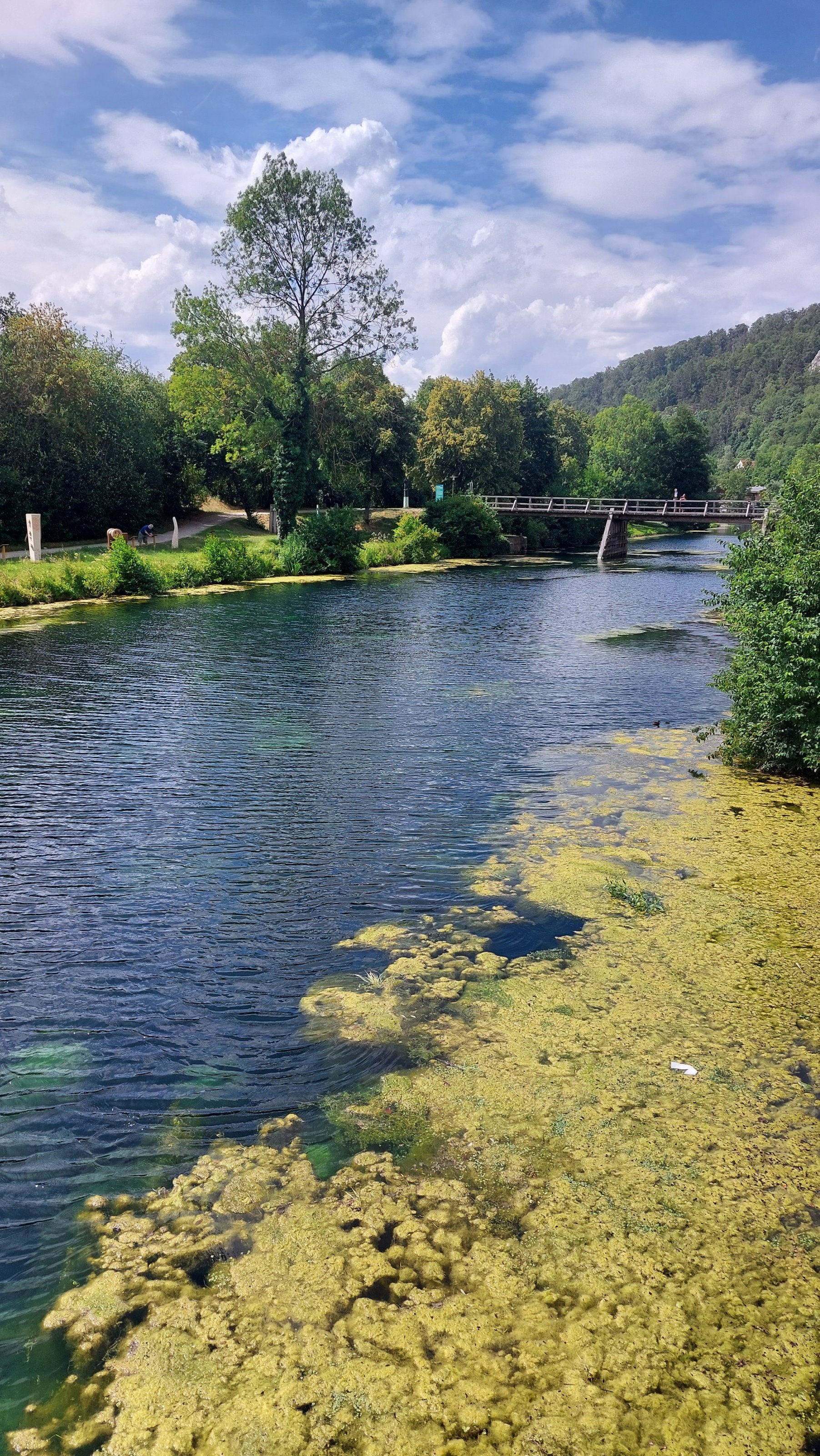 20230723_151749.jpg
