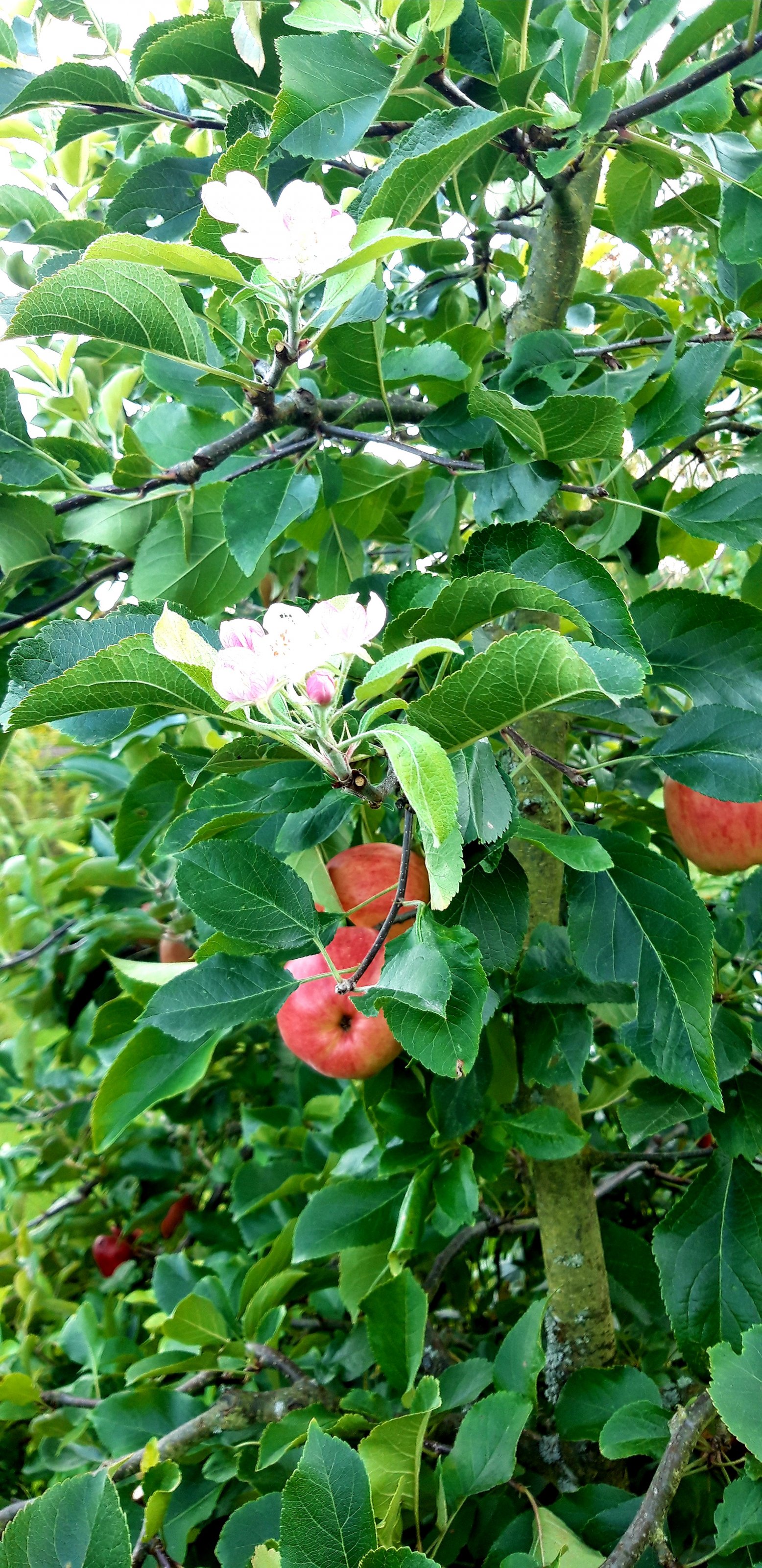 20230910_184705[1].jpg