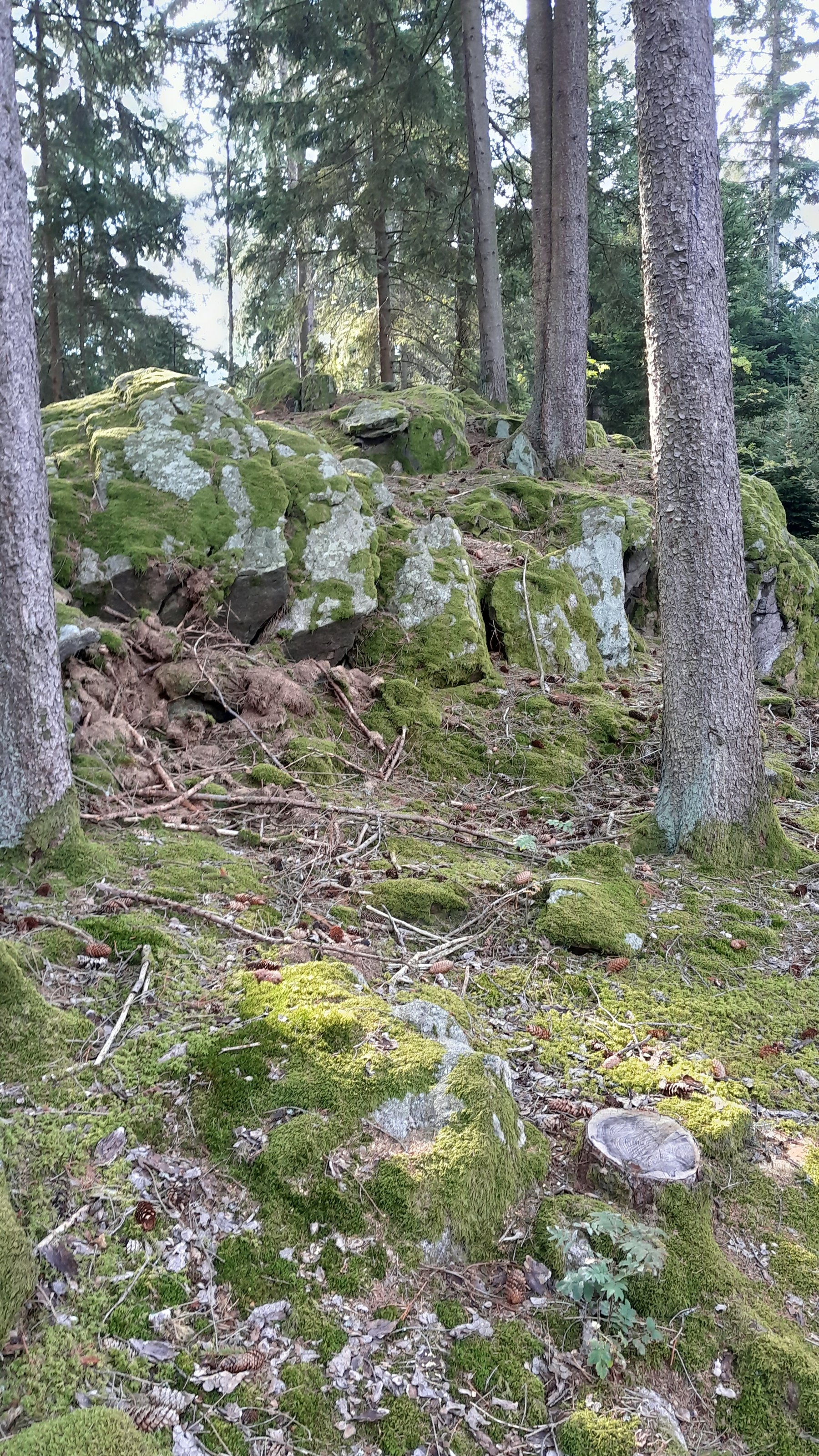 20230913_094830.jpg