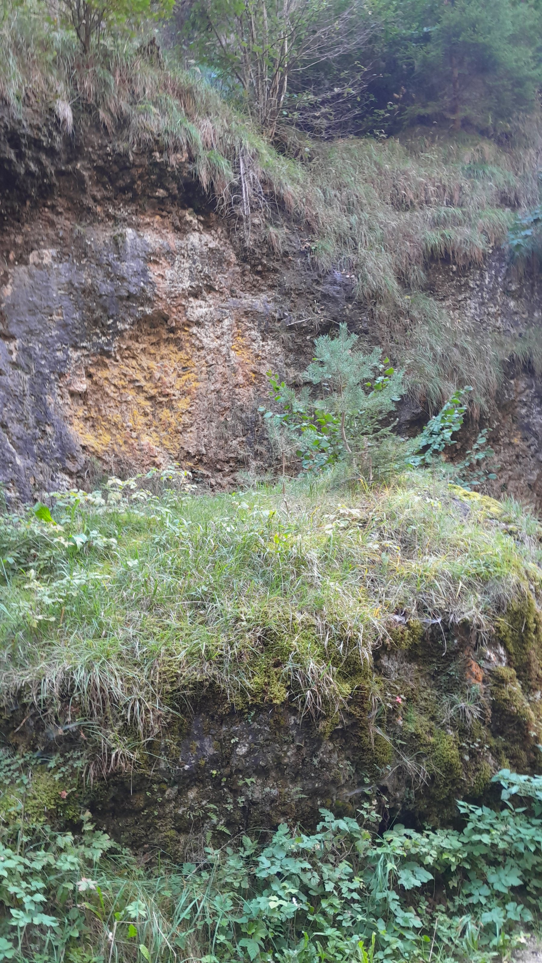 20230917_141140.jpg