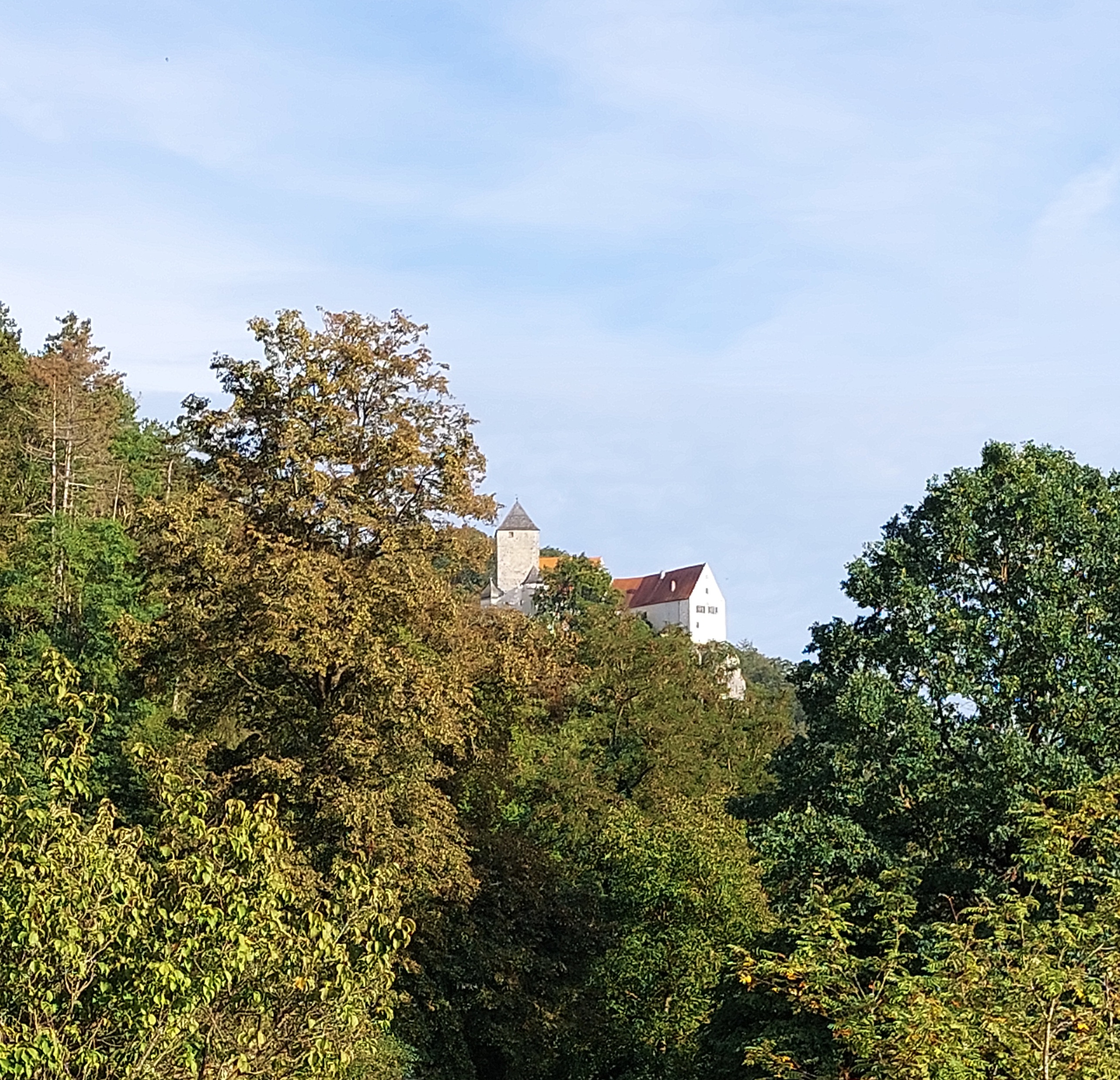 20230917_171558.jpg
