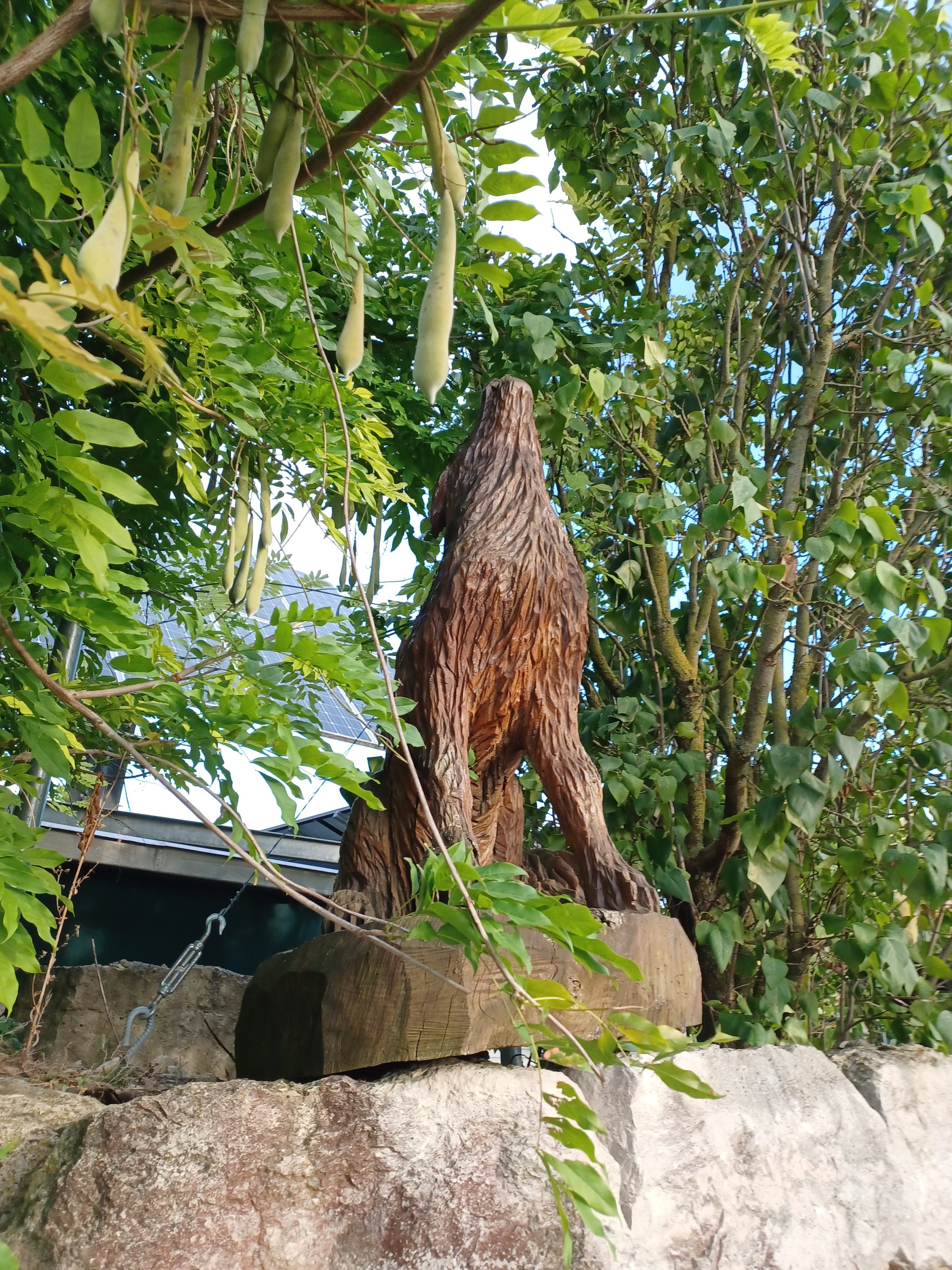 20230917_175511.jpg