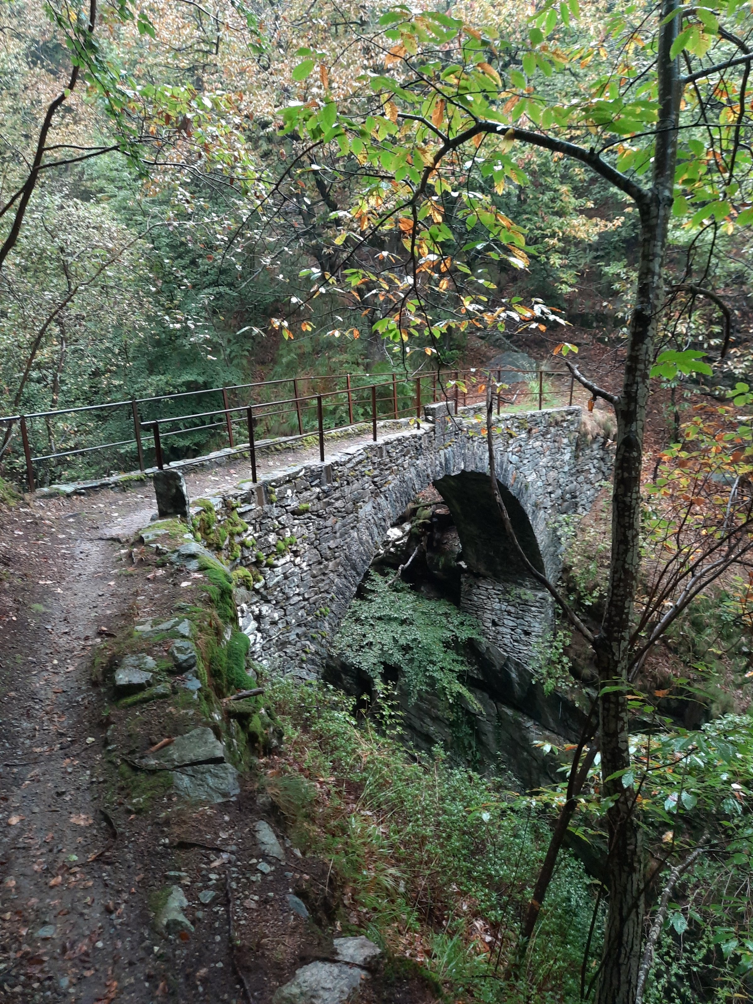 20230918_104800[1].jpg