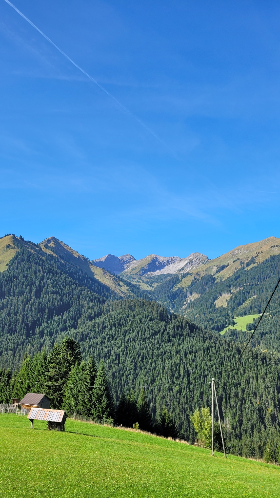20231002_112513.jpg