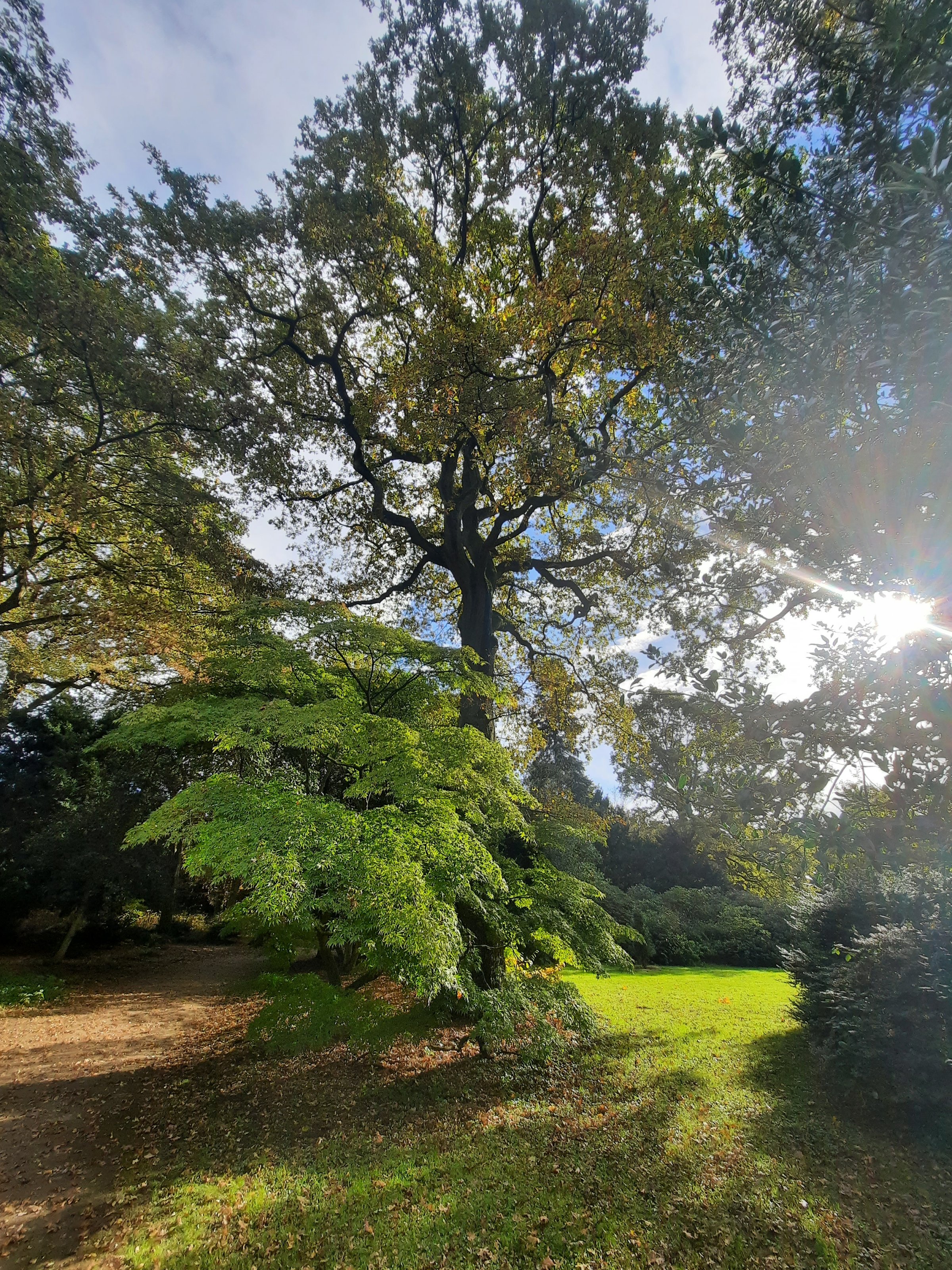 20231029_112736.jpg