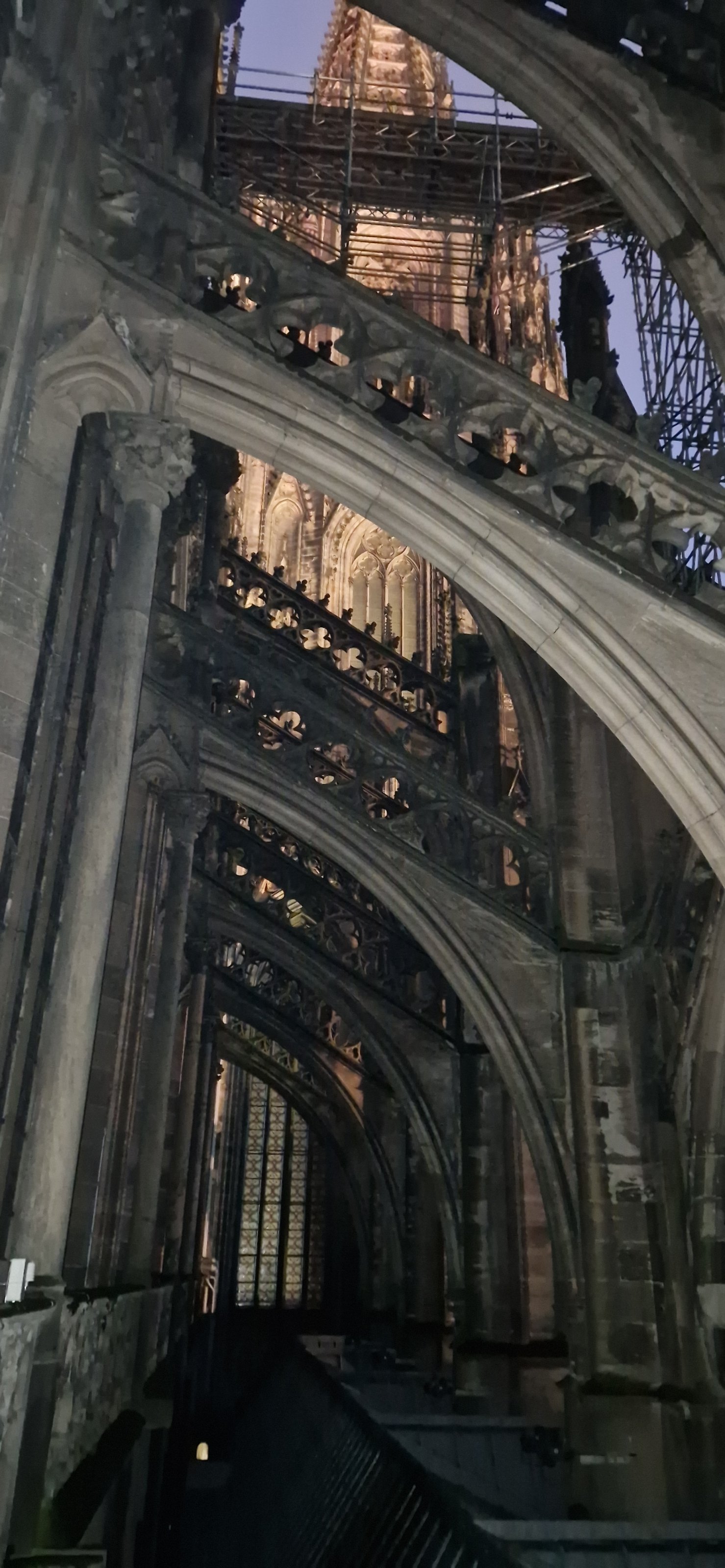 20231031_174725.jpg