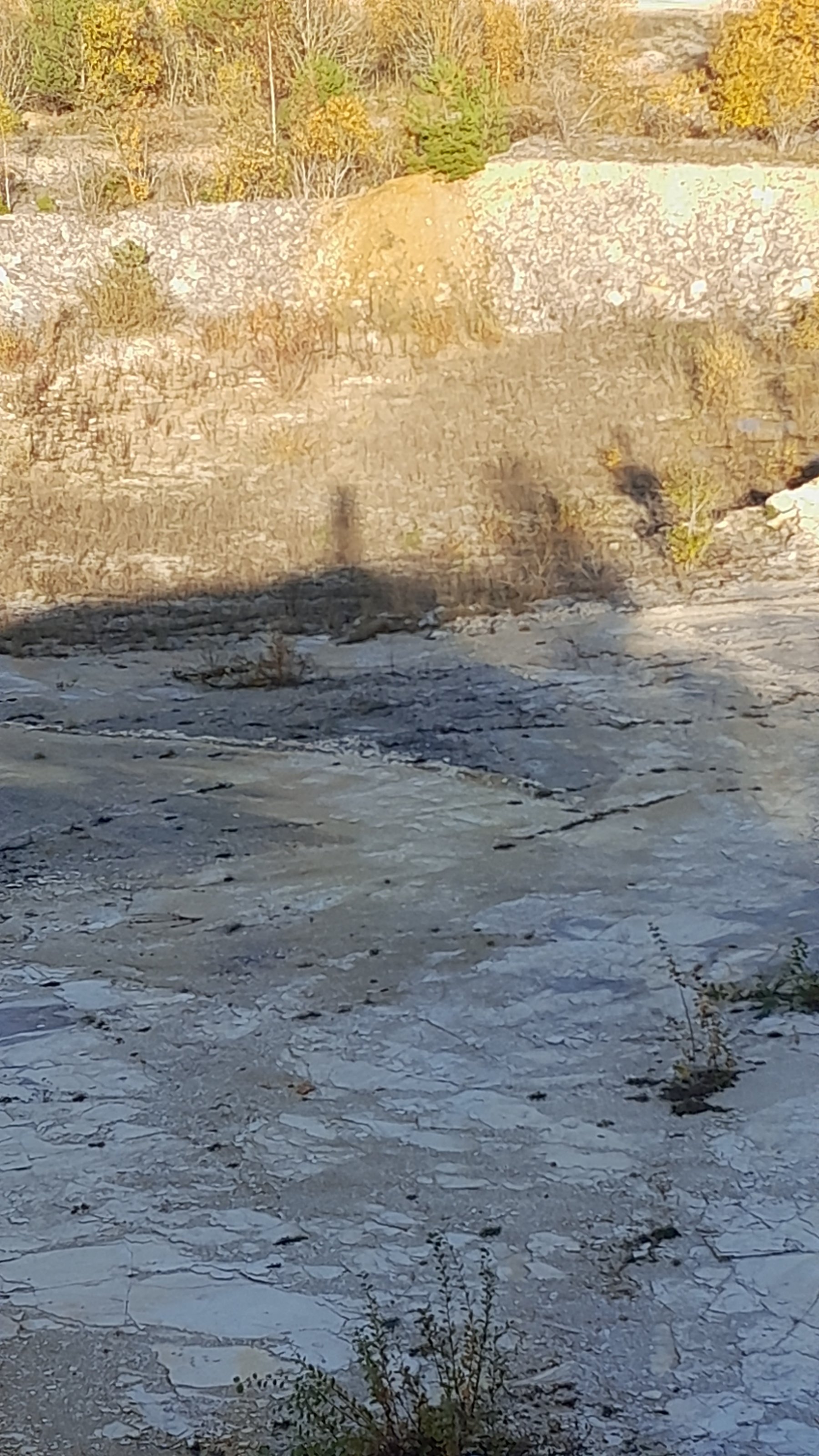 20231101_151511.jpg