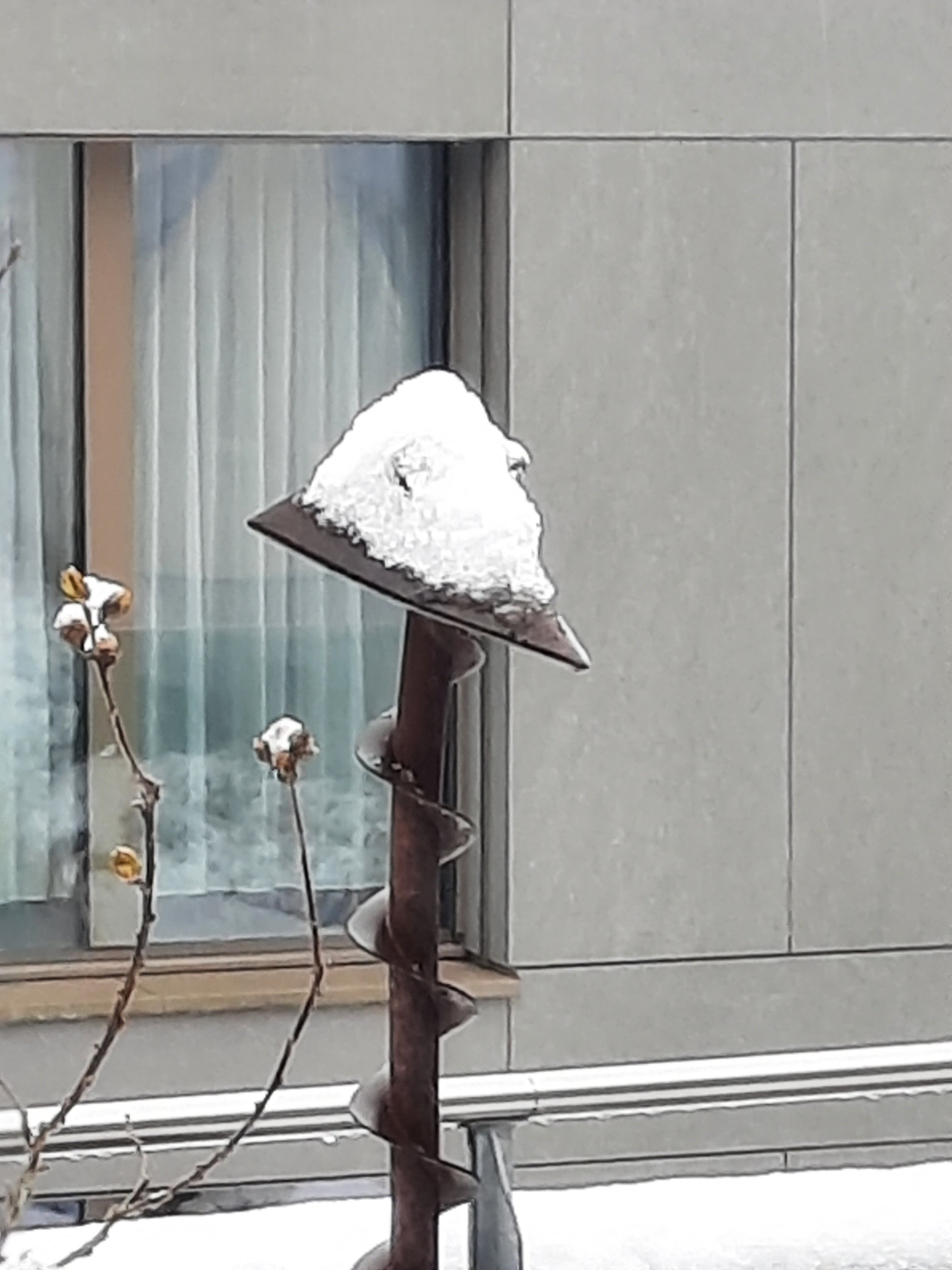 20231130_124807.jpg