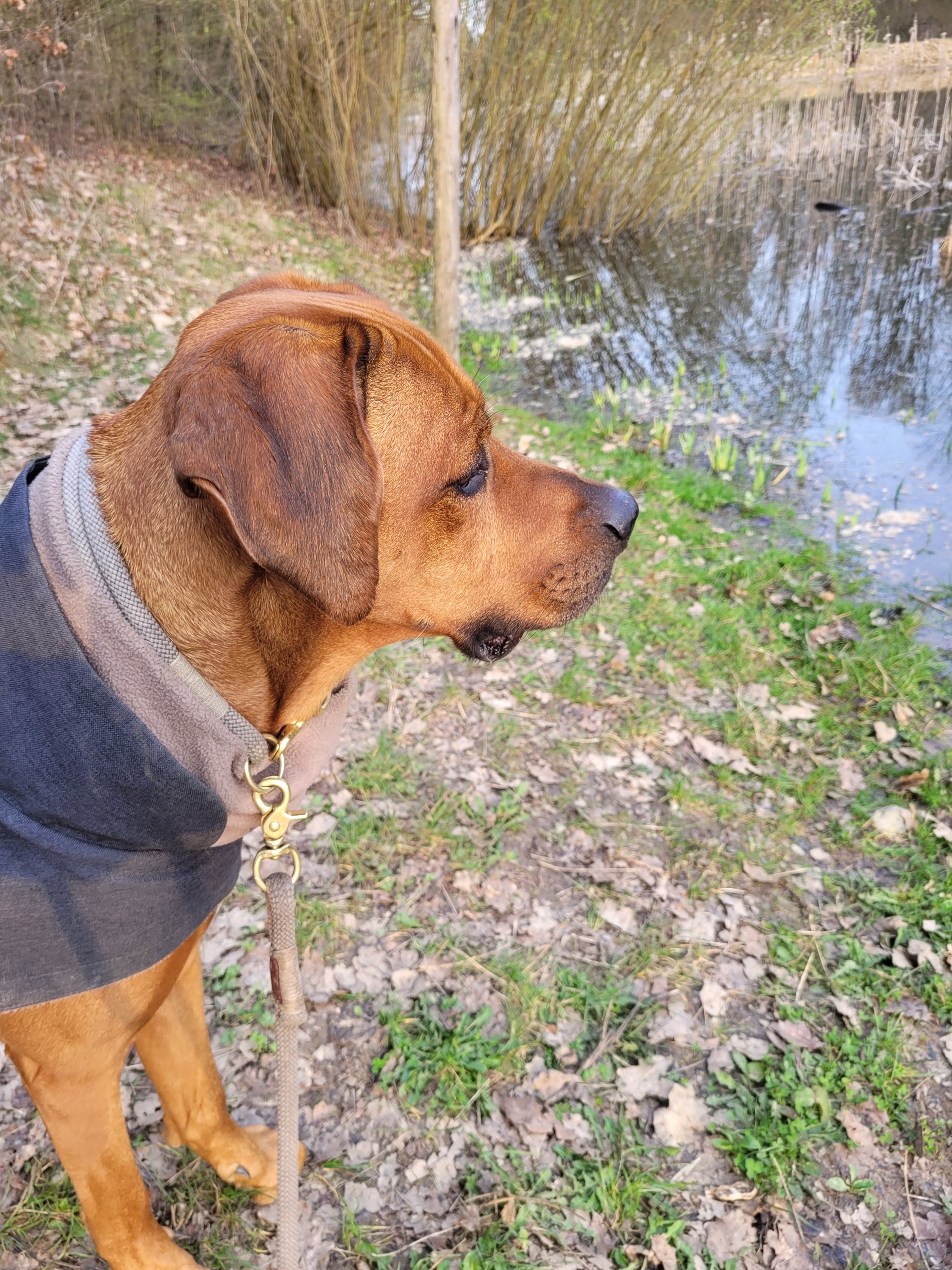 20240321_170249.jpg