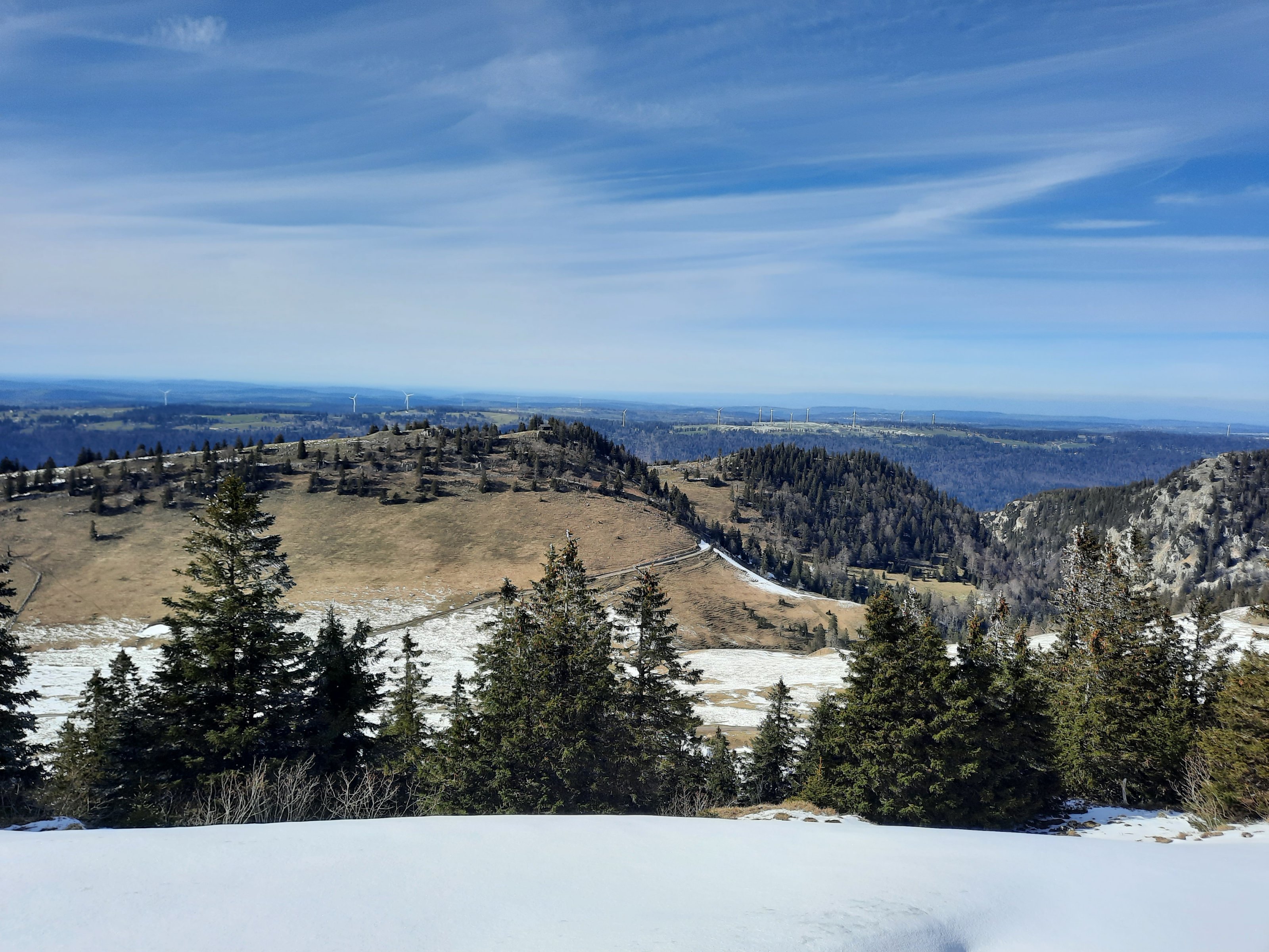 20240325_151630[1].jpg