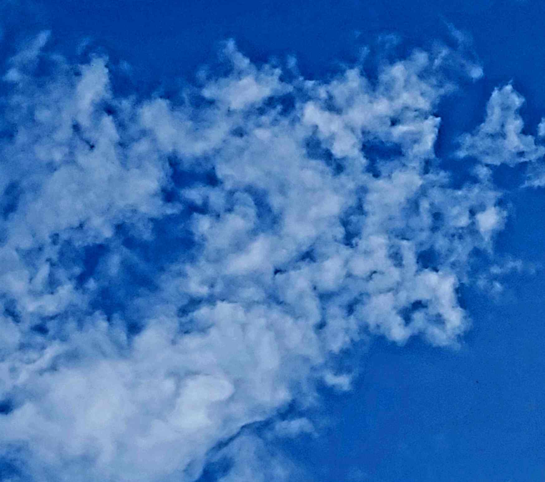 20240406_151508.jpg