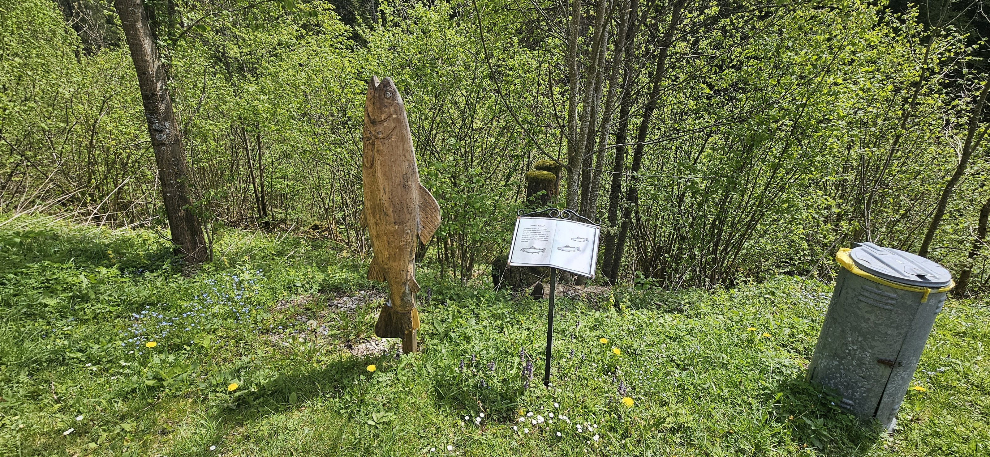 20240429_125225.jpg