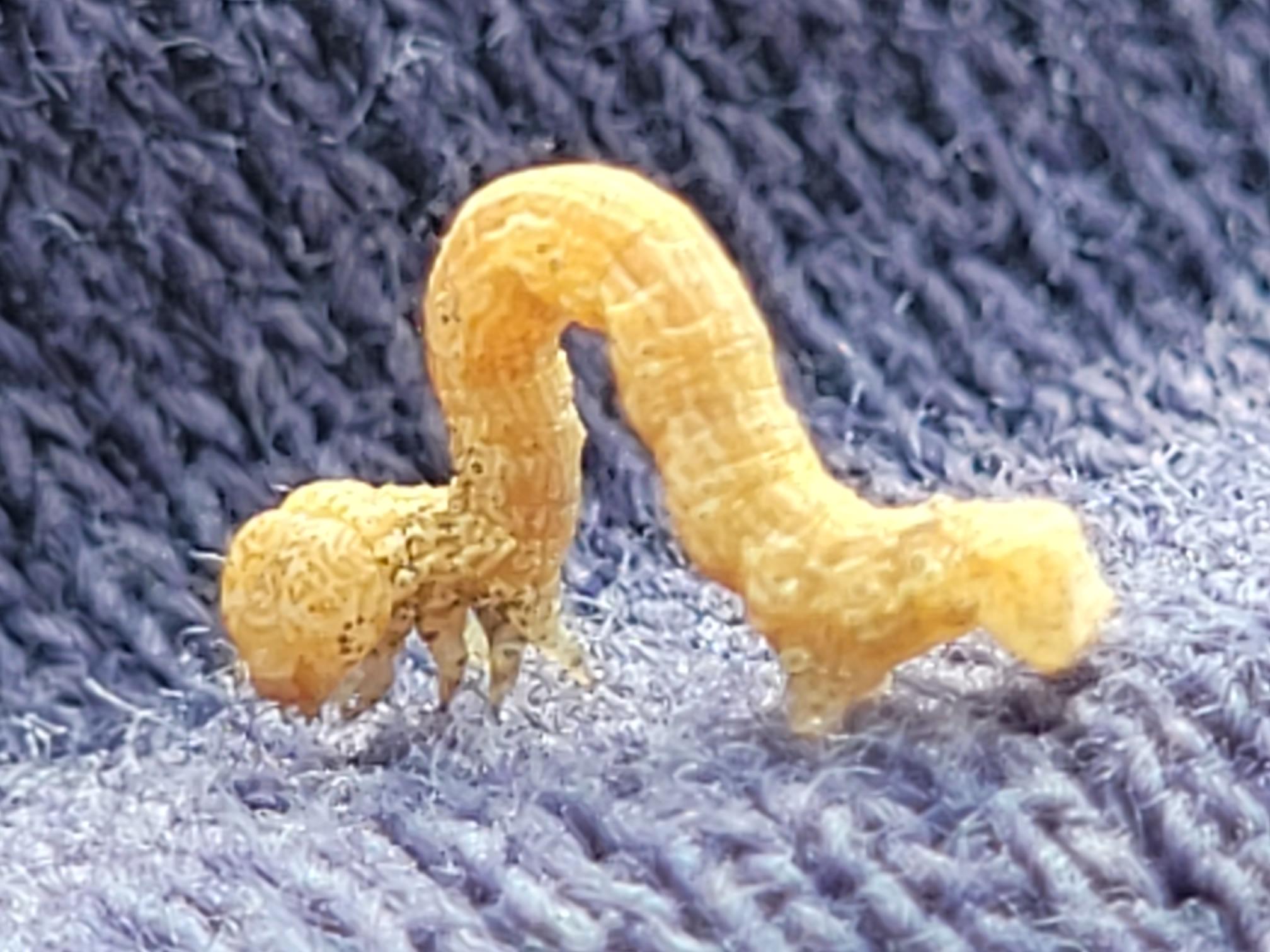 20240504_130536.jpg