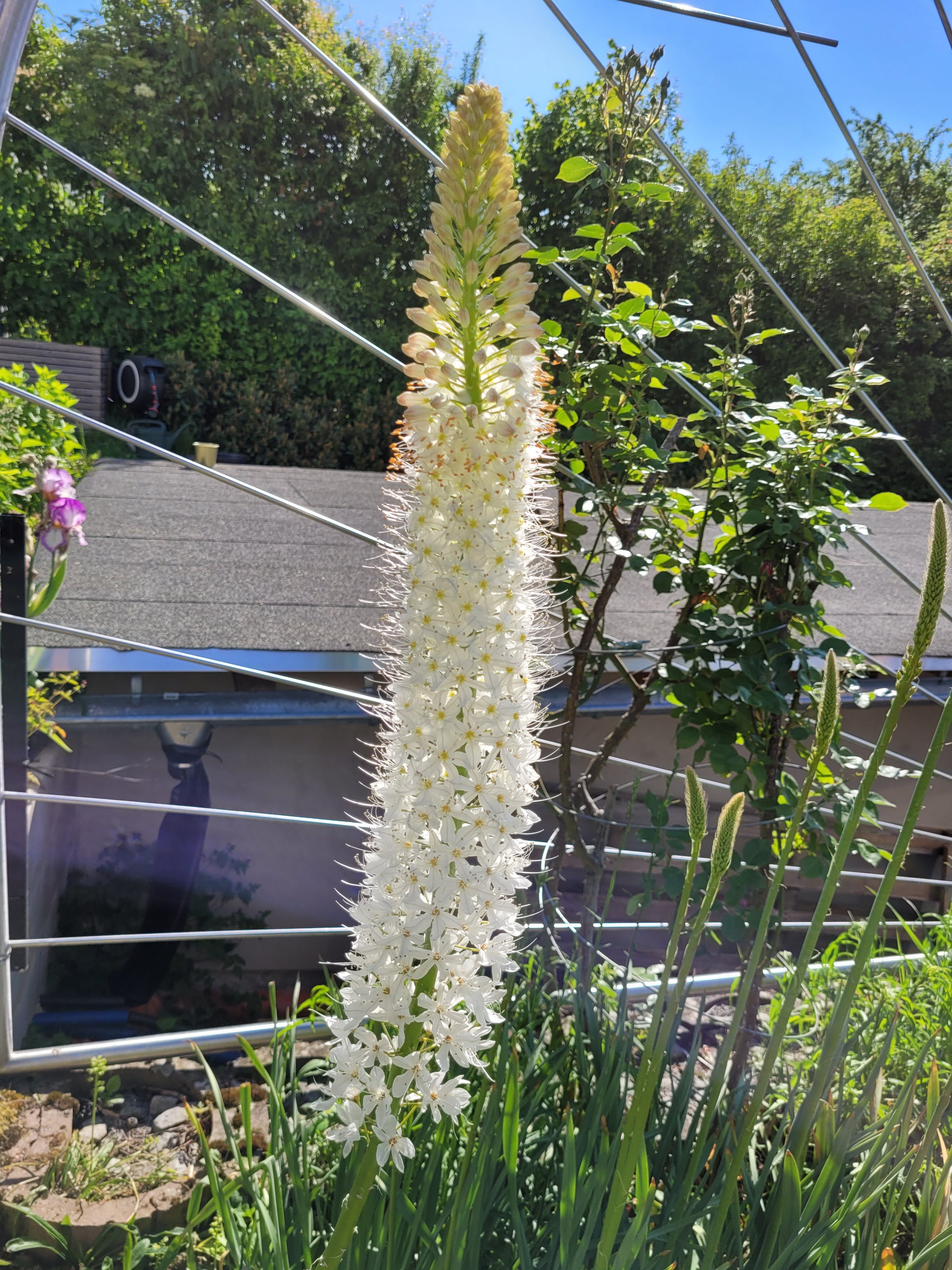 20240512_095336.jpg