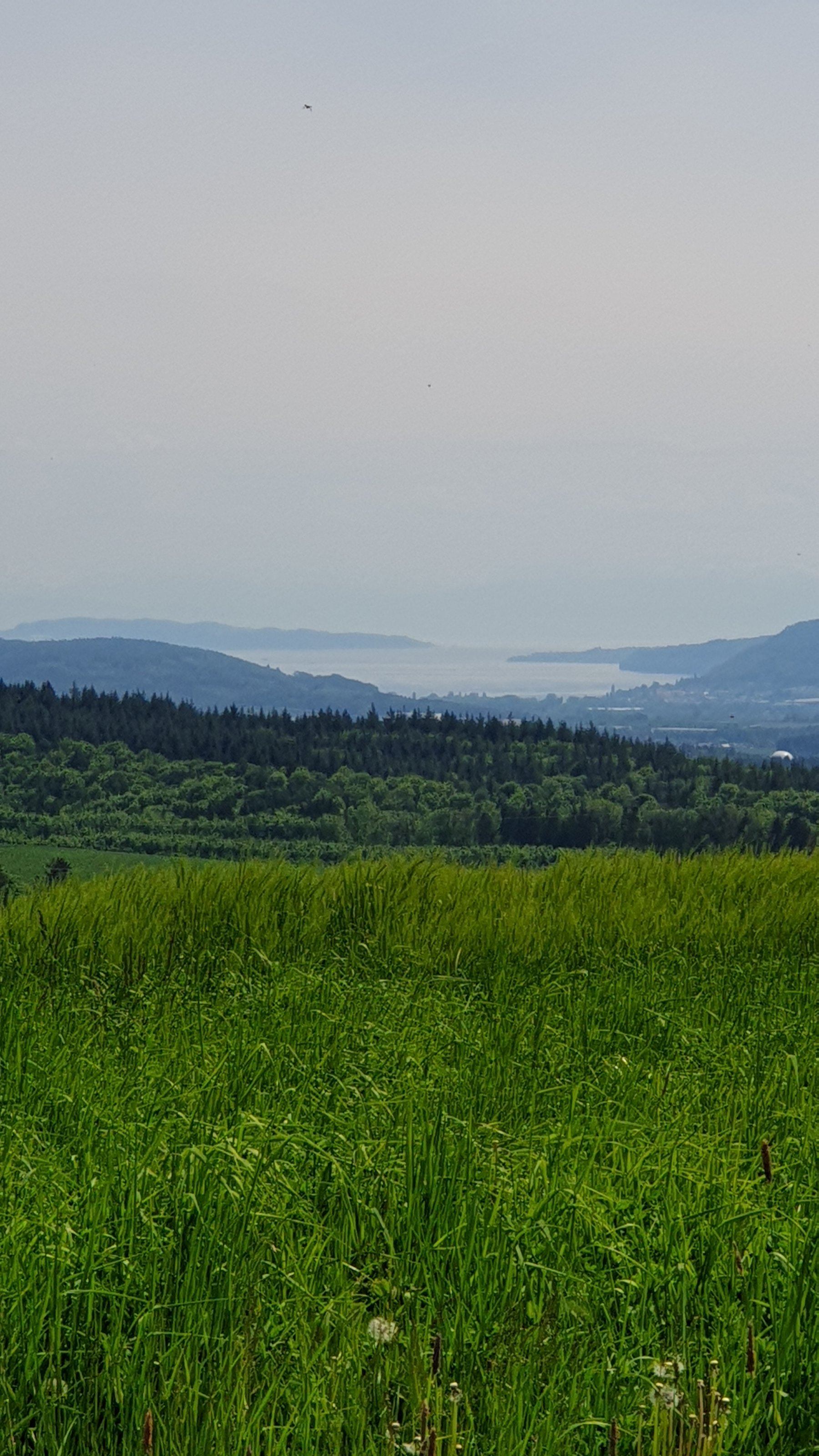 20240512_130929.jpg