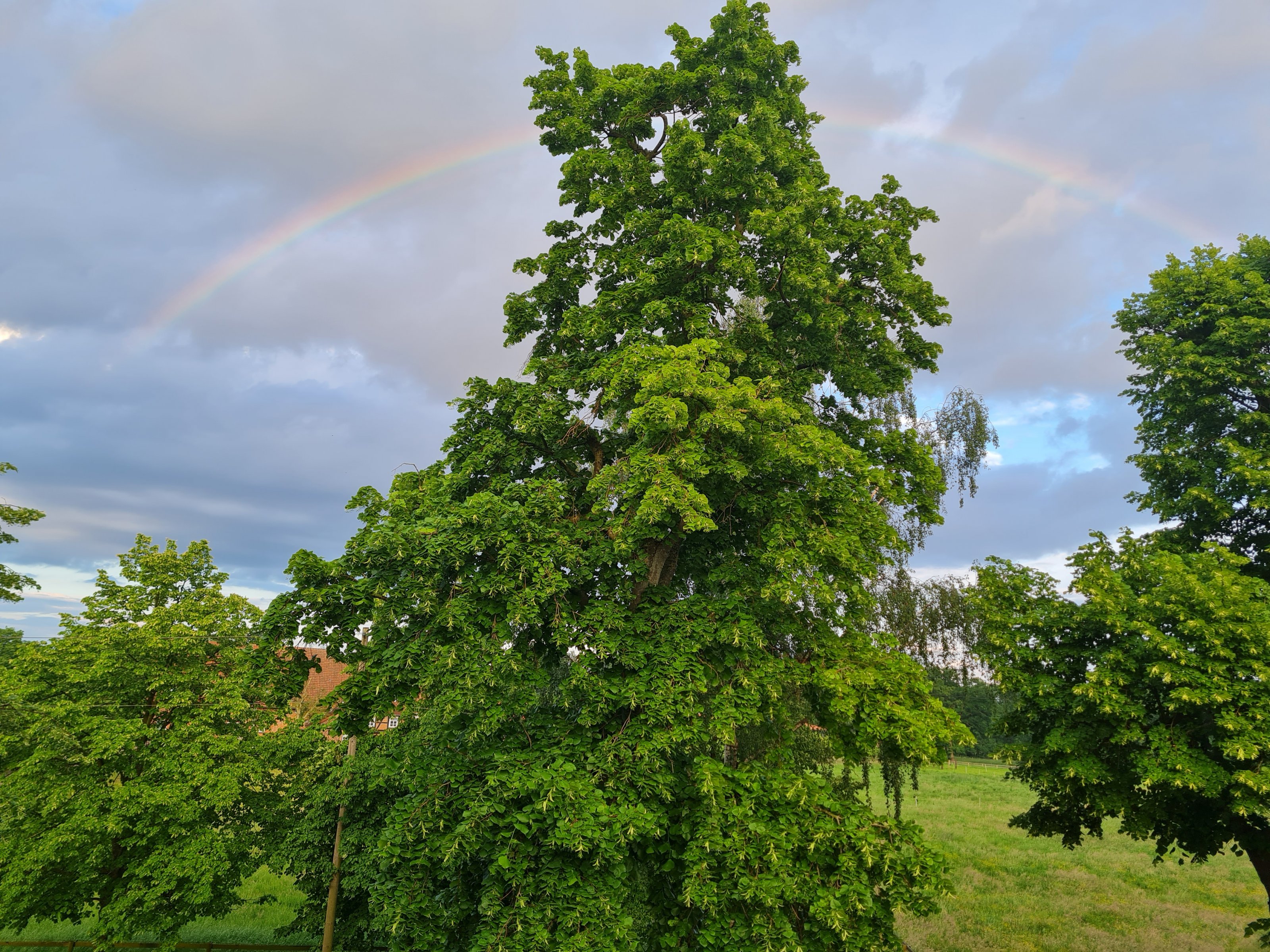 20240518_202400.jpg