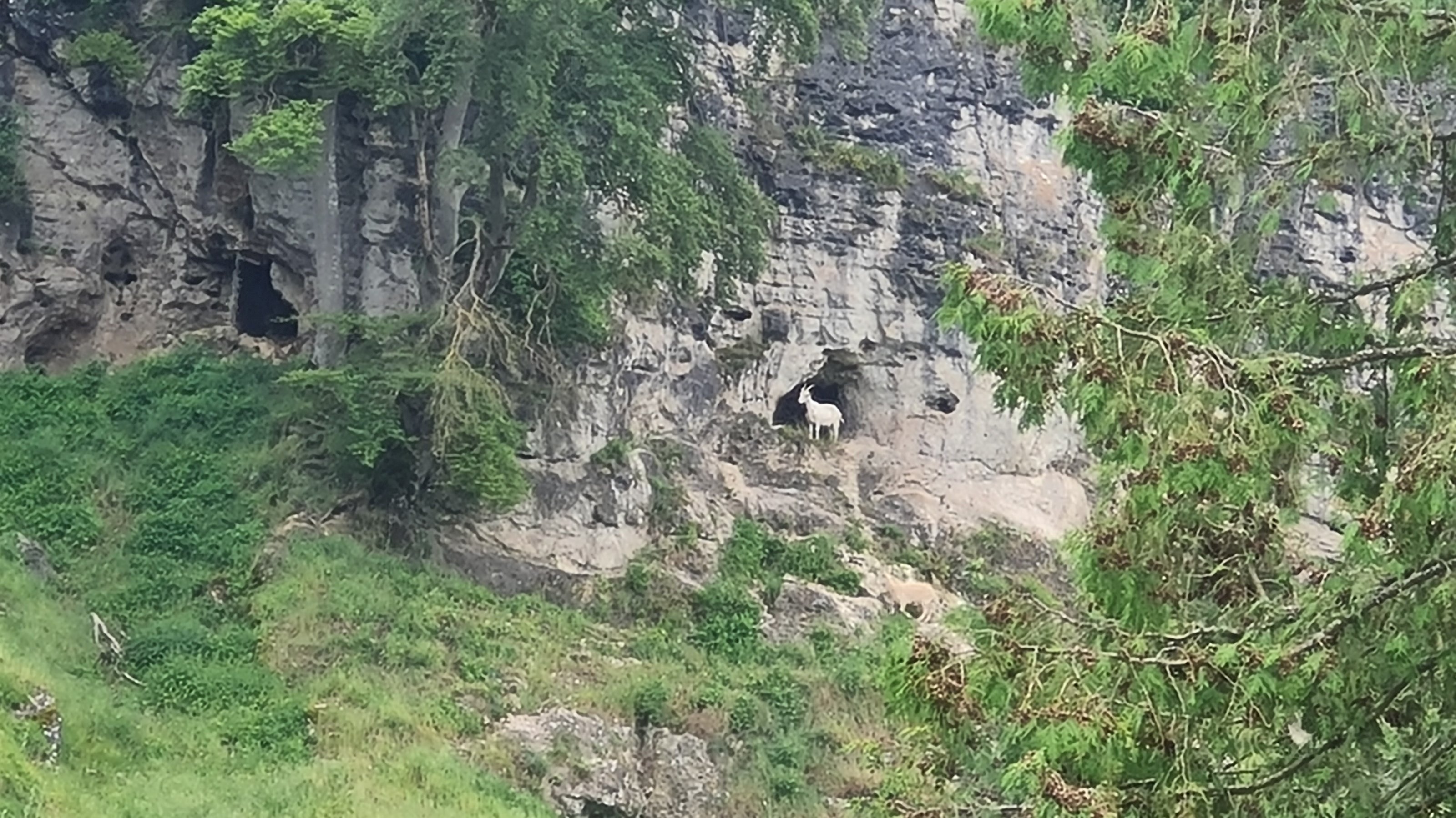 20240525_125005.jpg