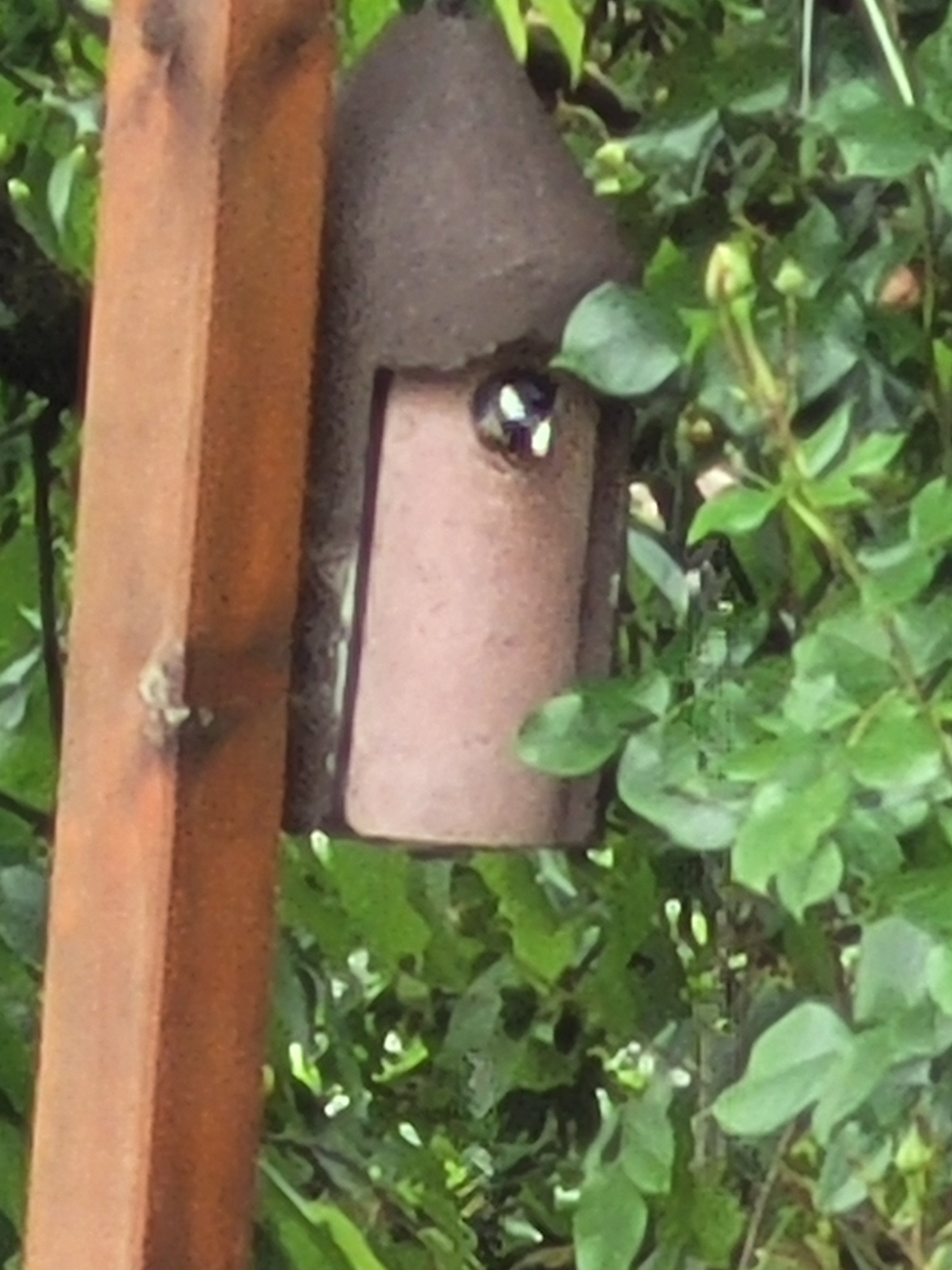 20240527_154652.jpg