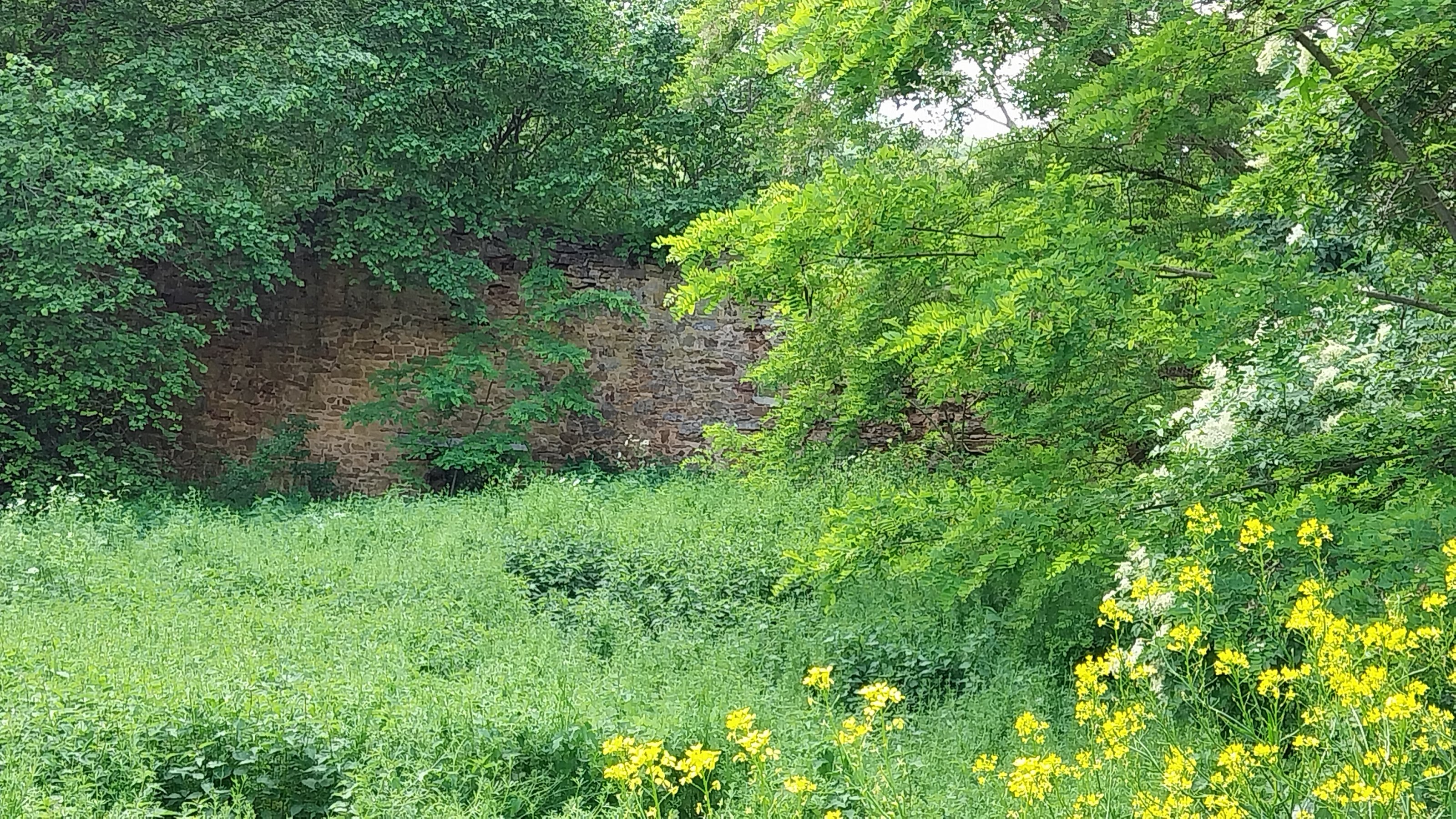 20240528_121647.jpg