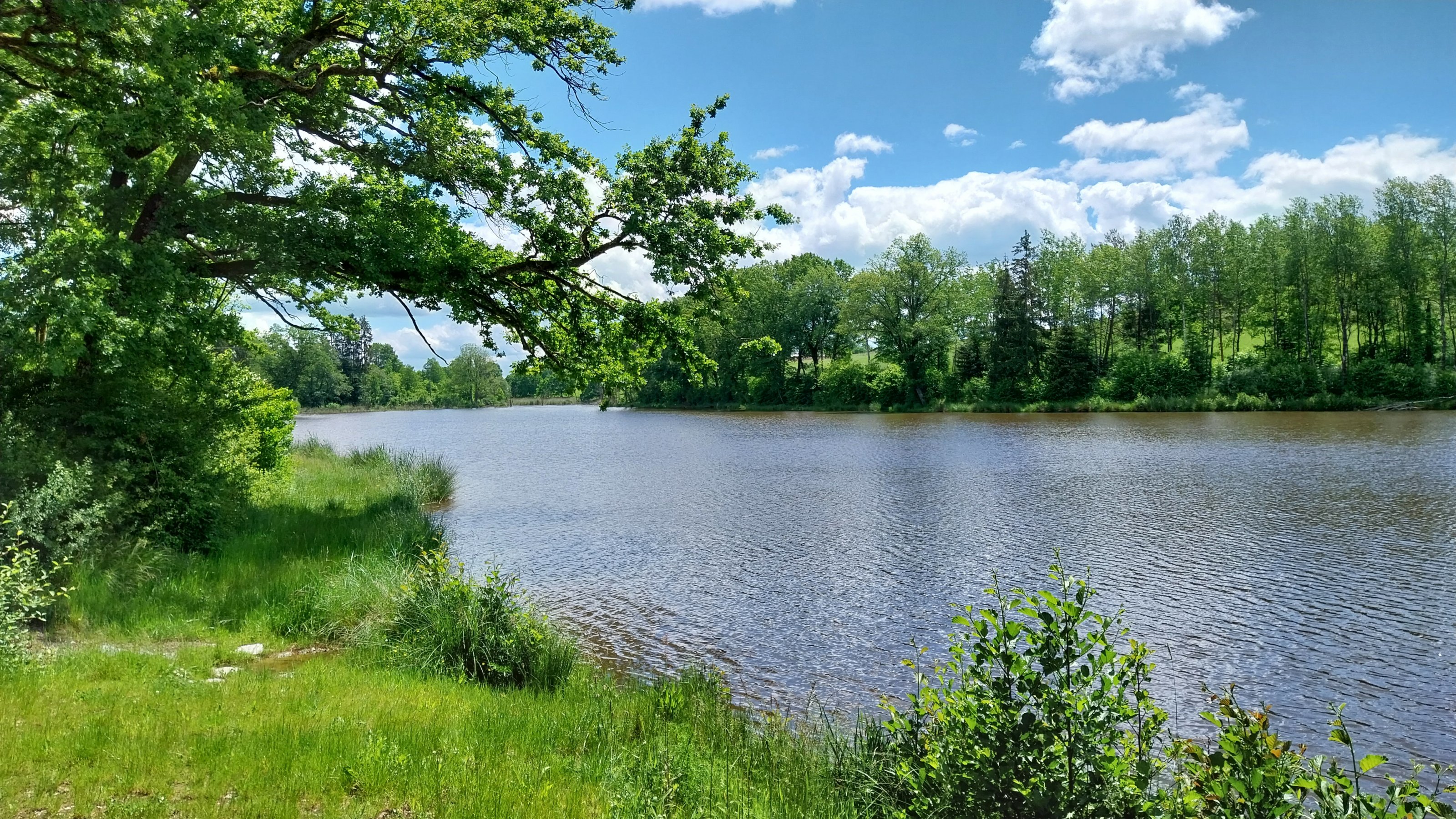 20240528_130502.jpg