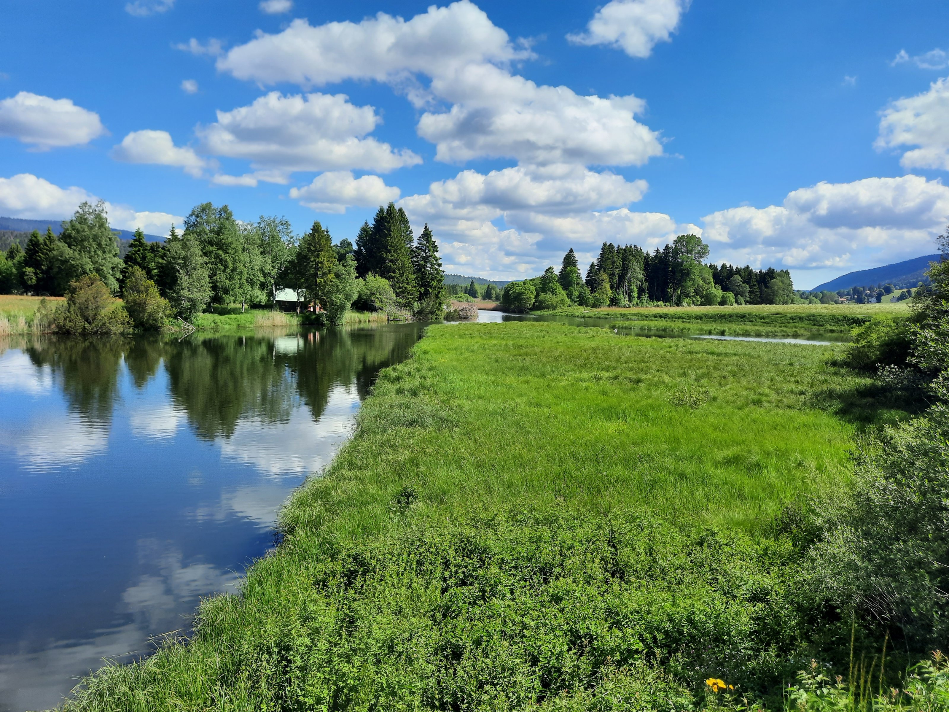20240613_105542.jpg