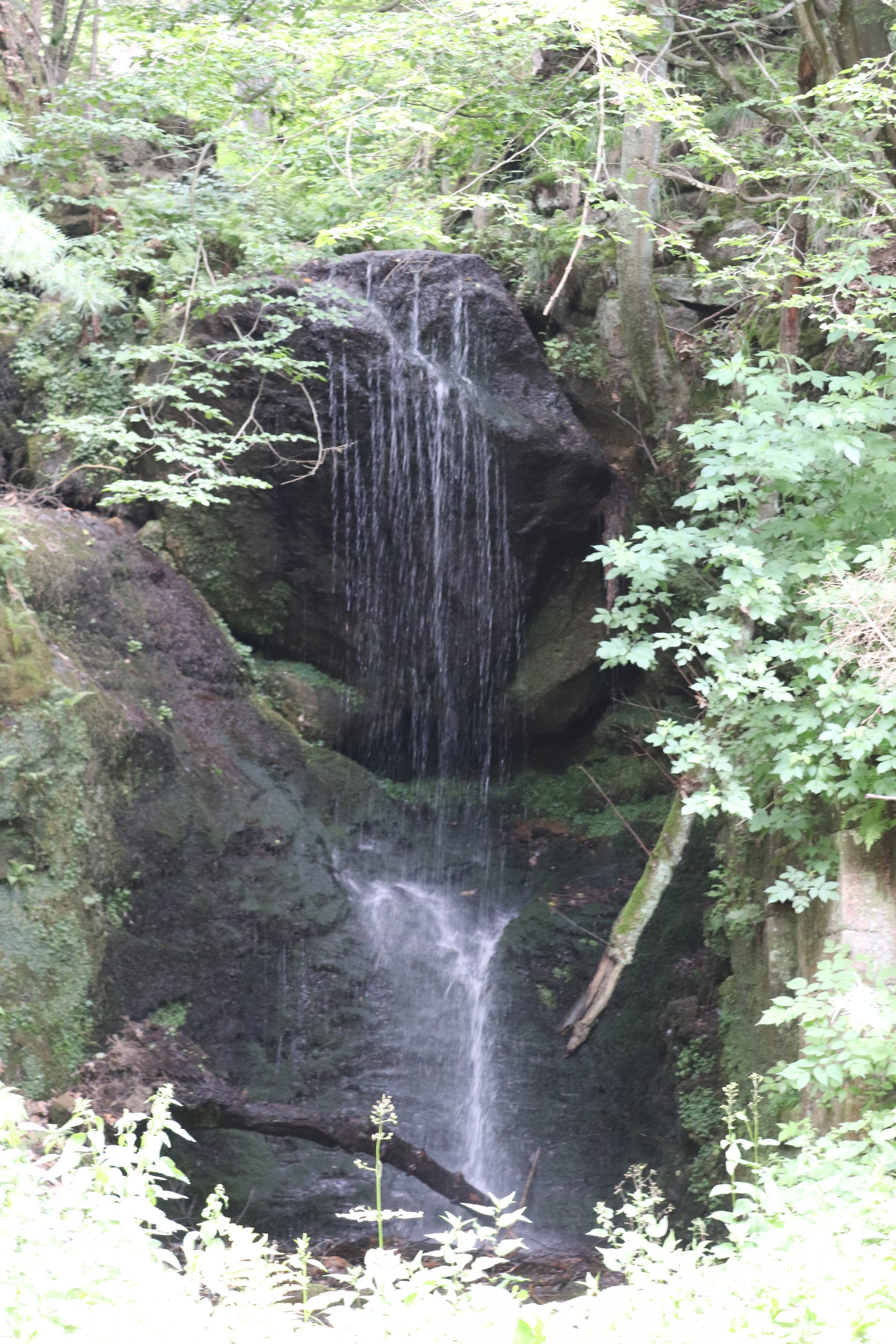 20240618113454_IMG_7265.JPG