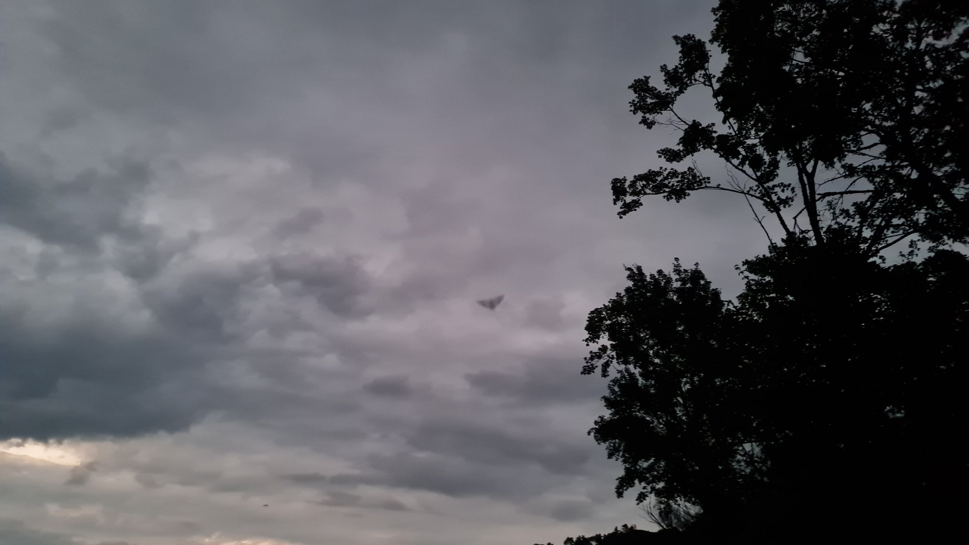 20240622_215651.jpg