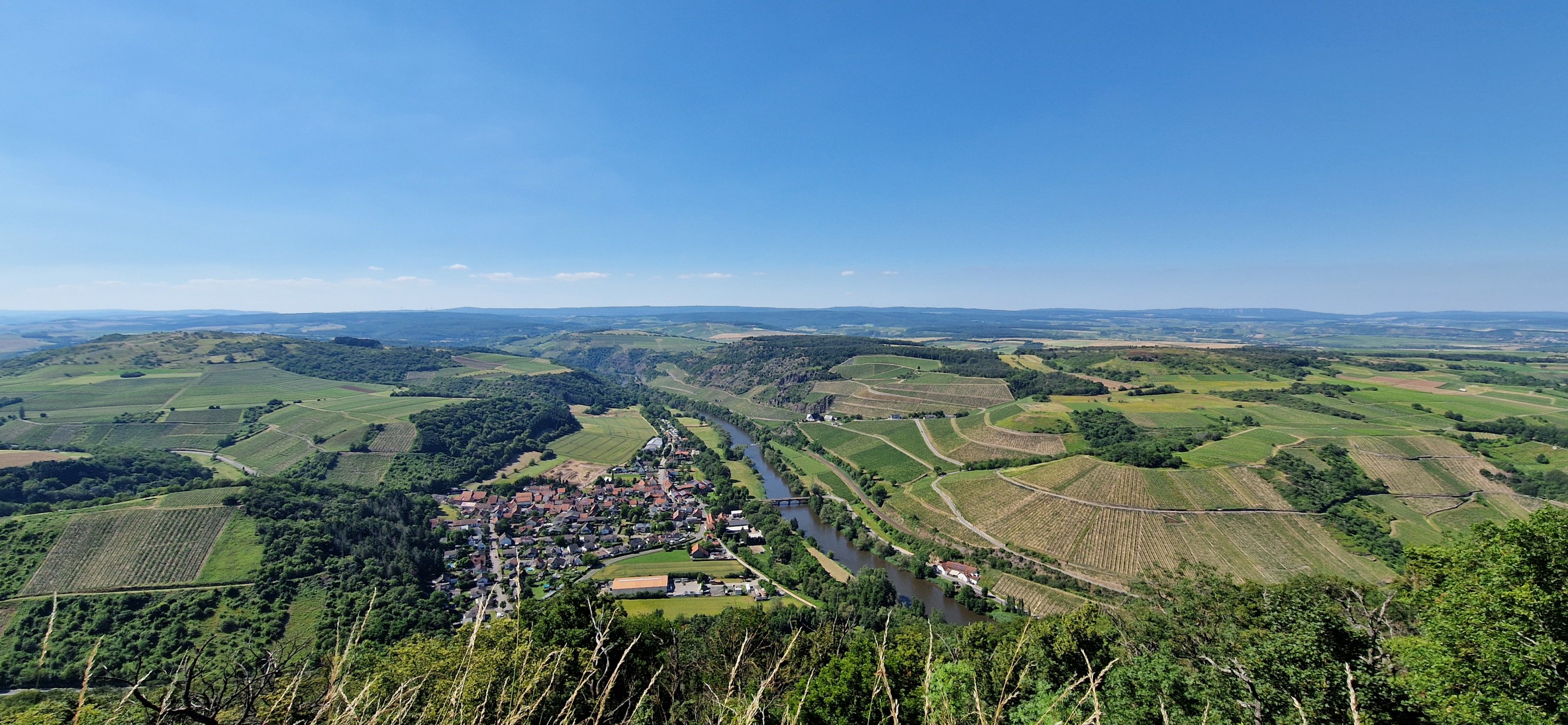 20240625_162218.jpg