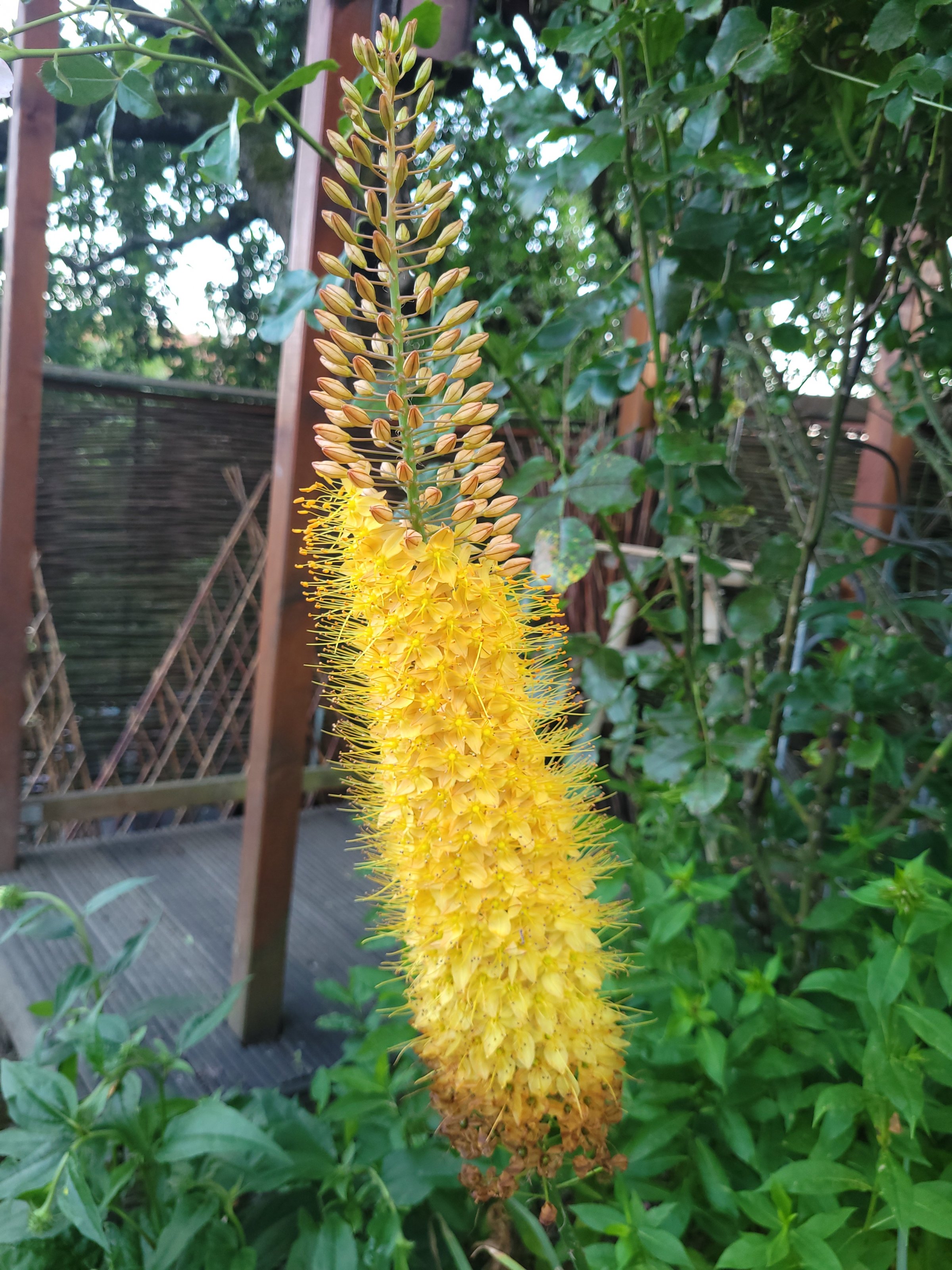 20240625_204023.jpg