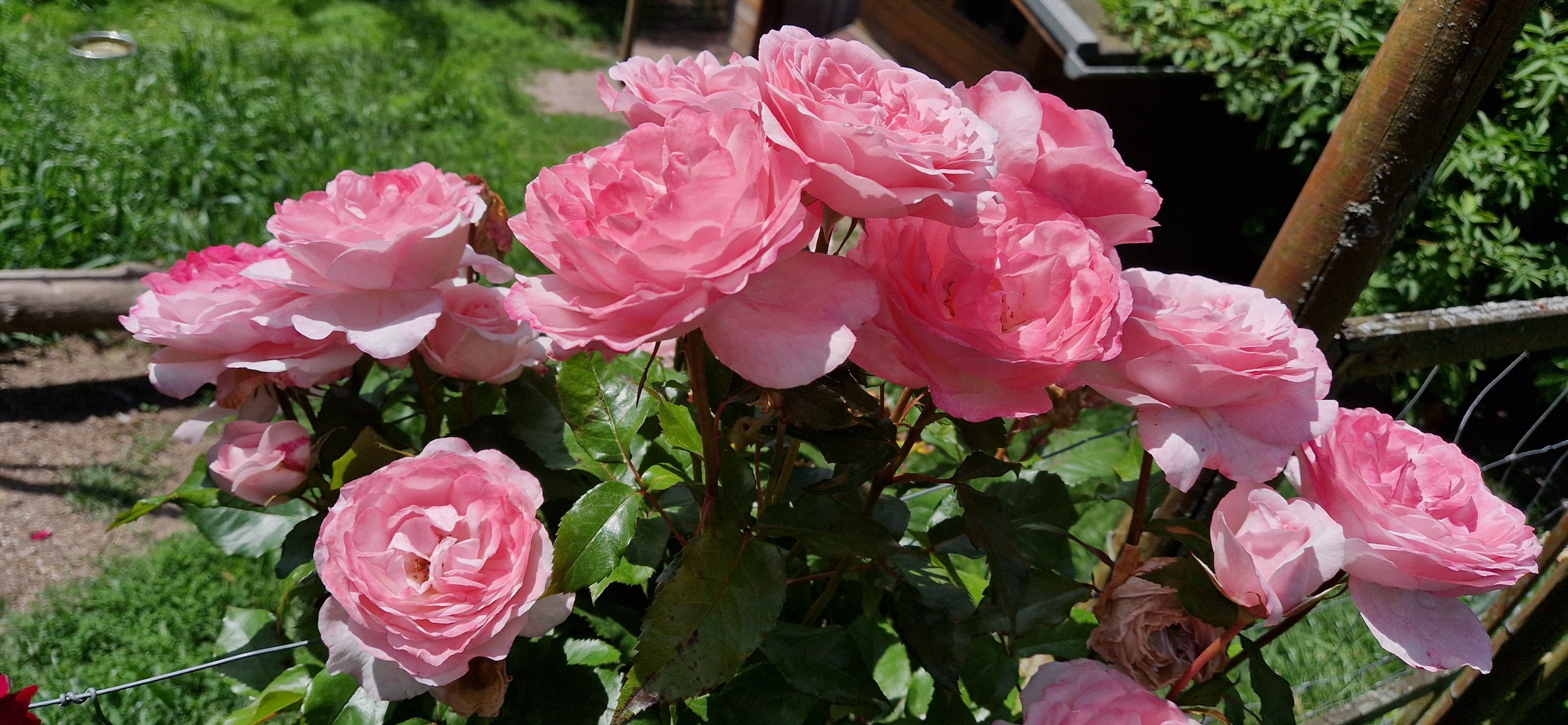 20240628_141225.jpg
