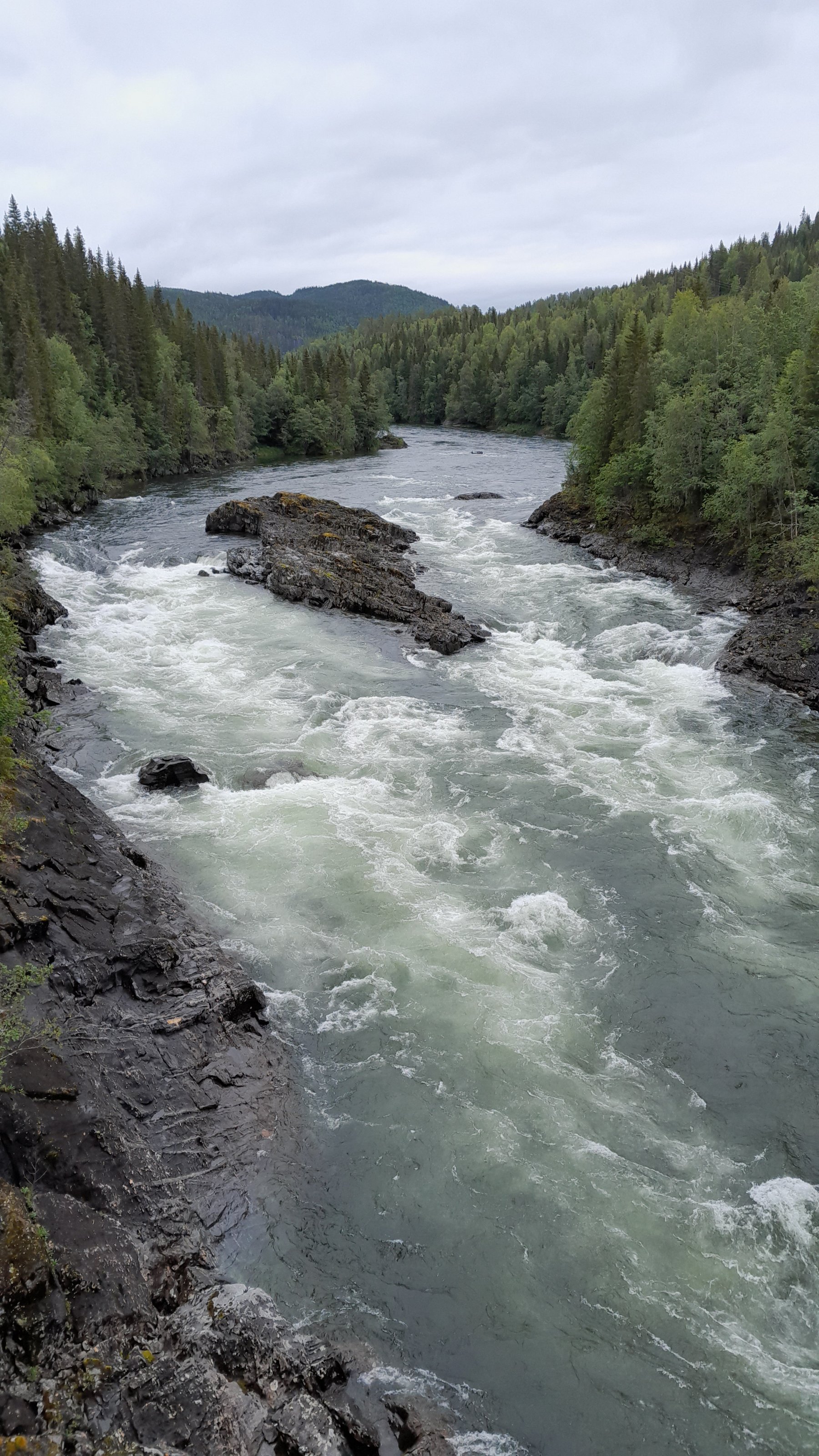 20240702_110513.jpg