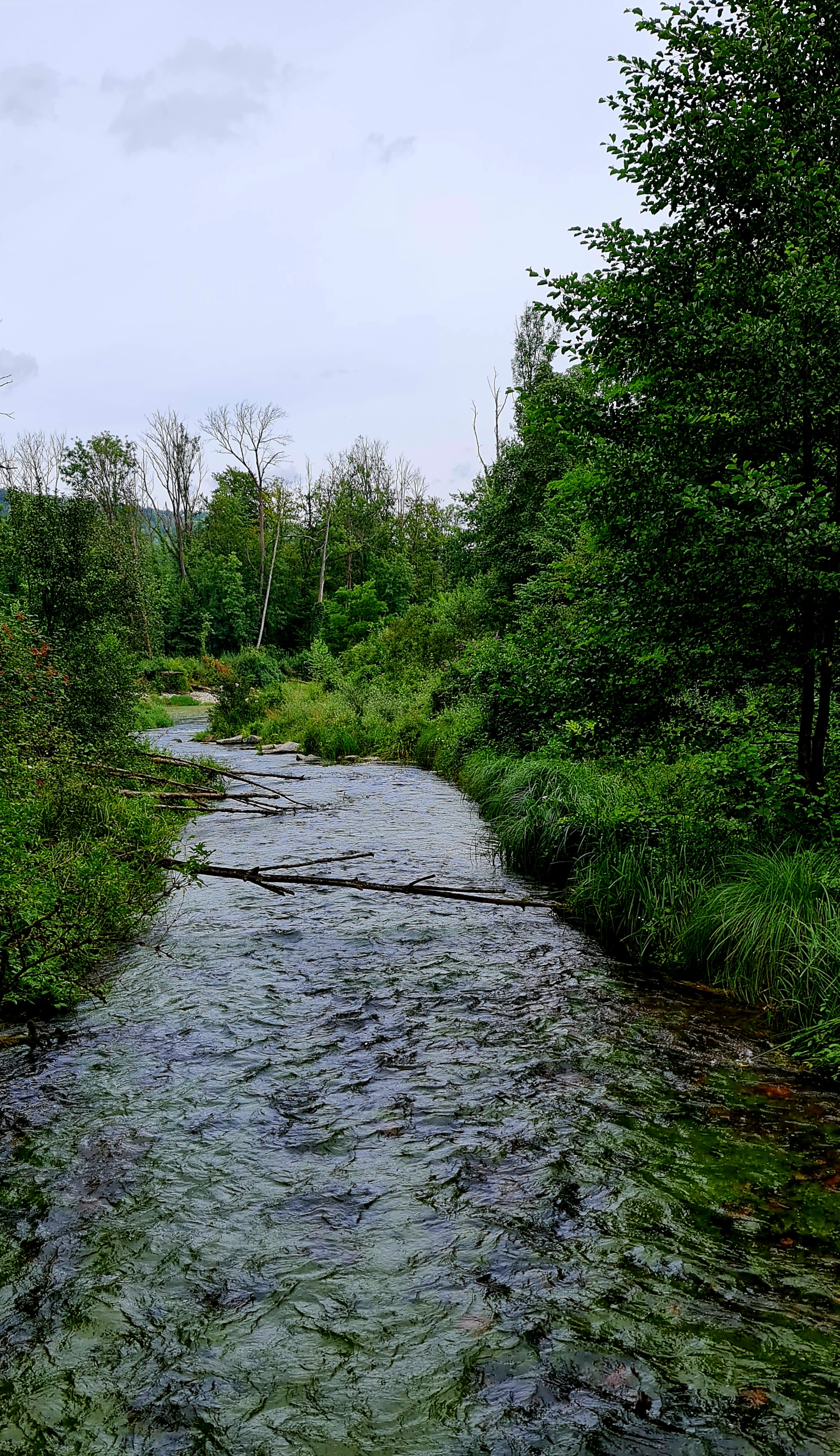 20240804_122037.jpg