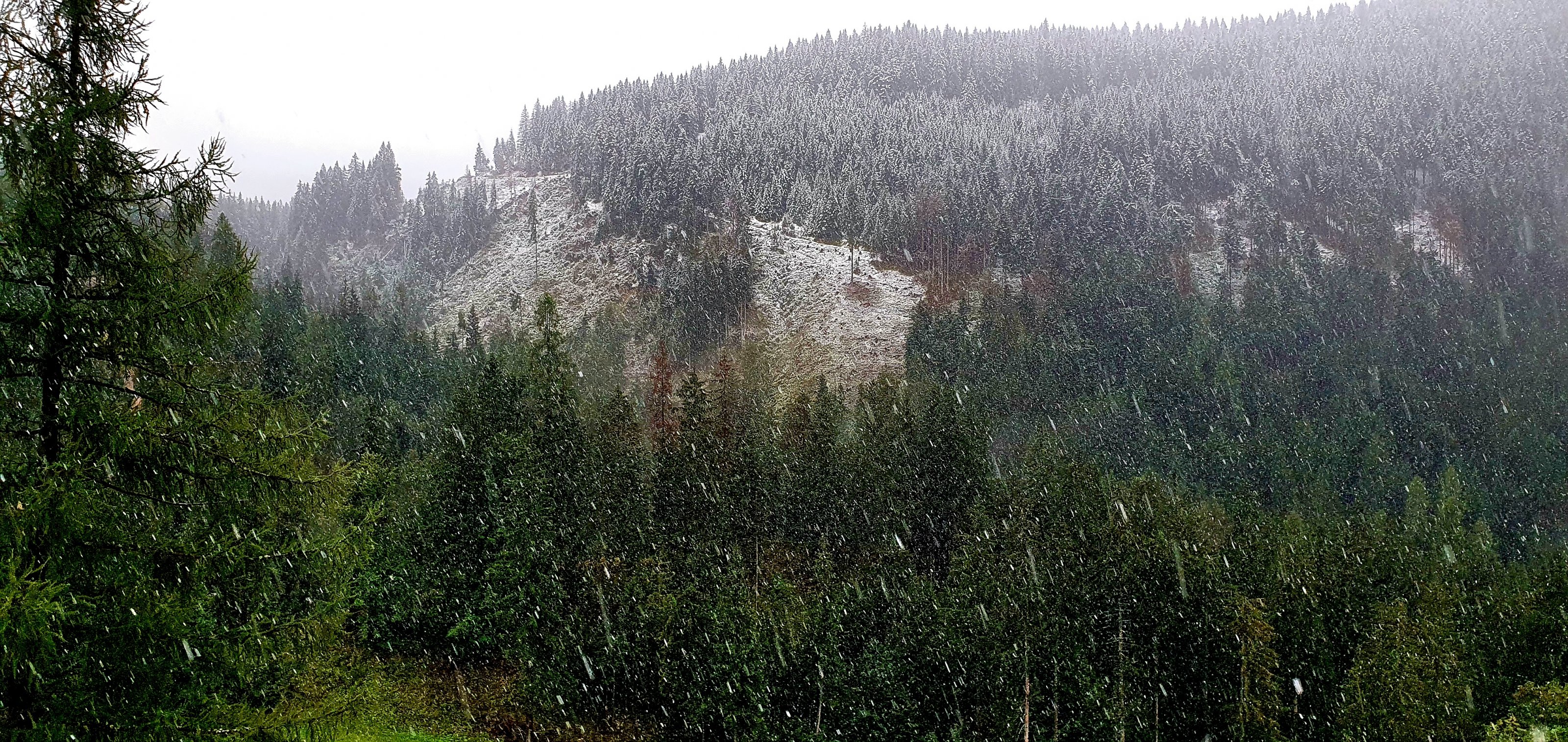 20240912_173706.jpg