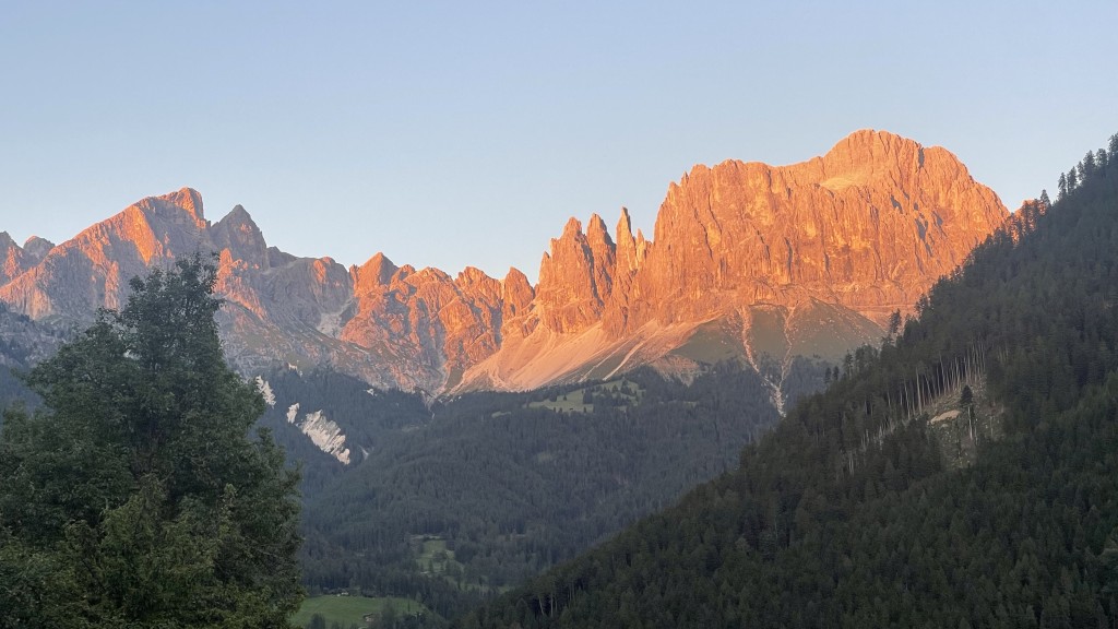 2025-06-28_09_Rosengarten_Pattissenhof_Dolotreffen.jpg