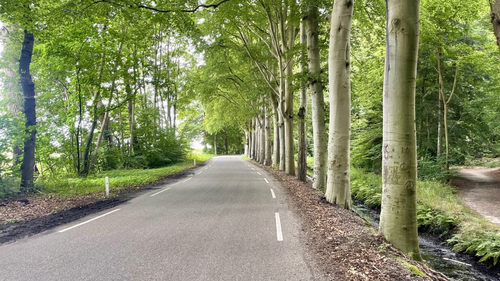 2025-08-06_11_Hollandrunde_Fraeylemaborg Park.jpg